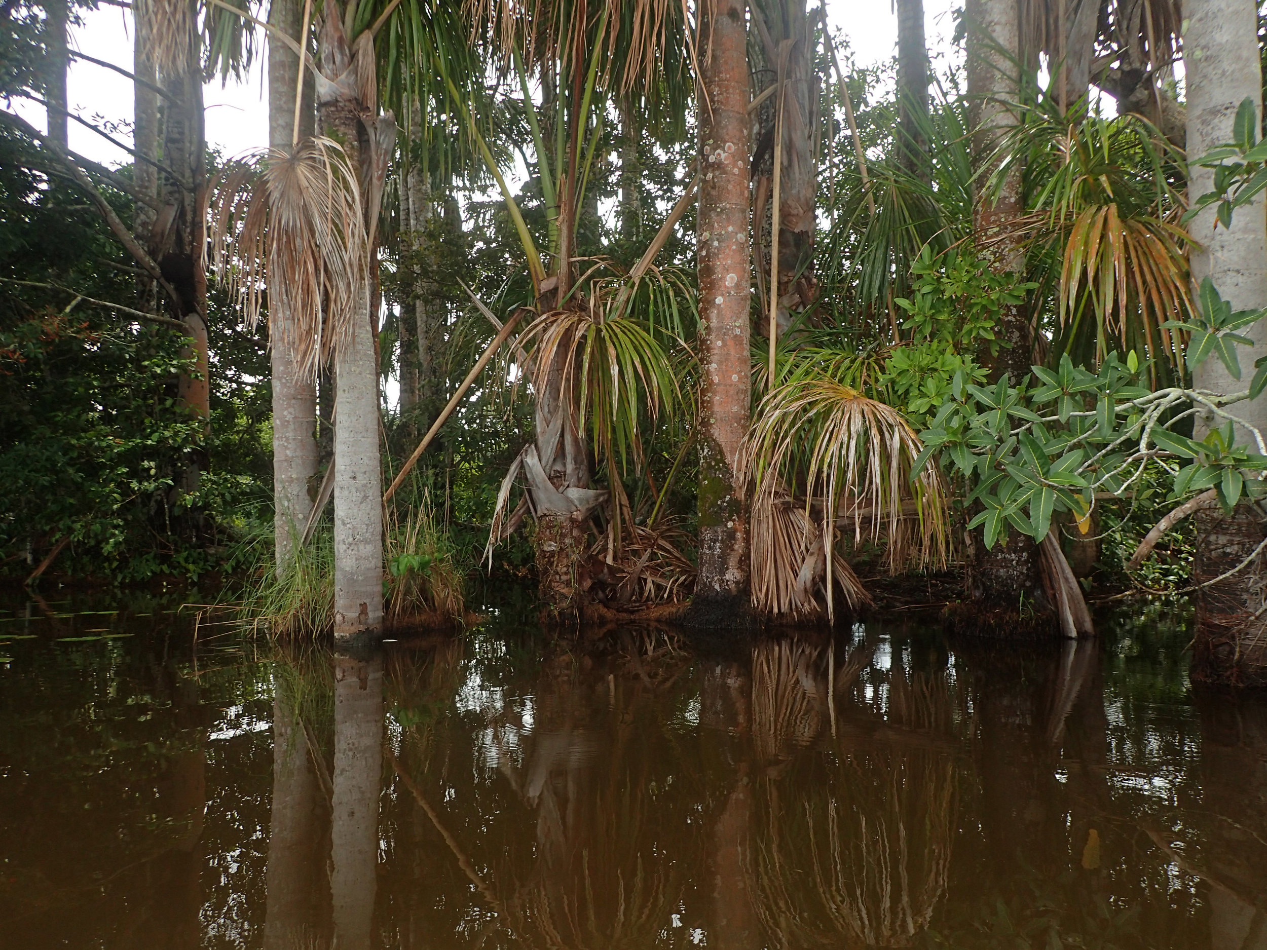 river otter habitat.jpg