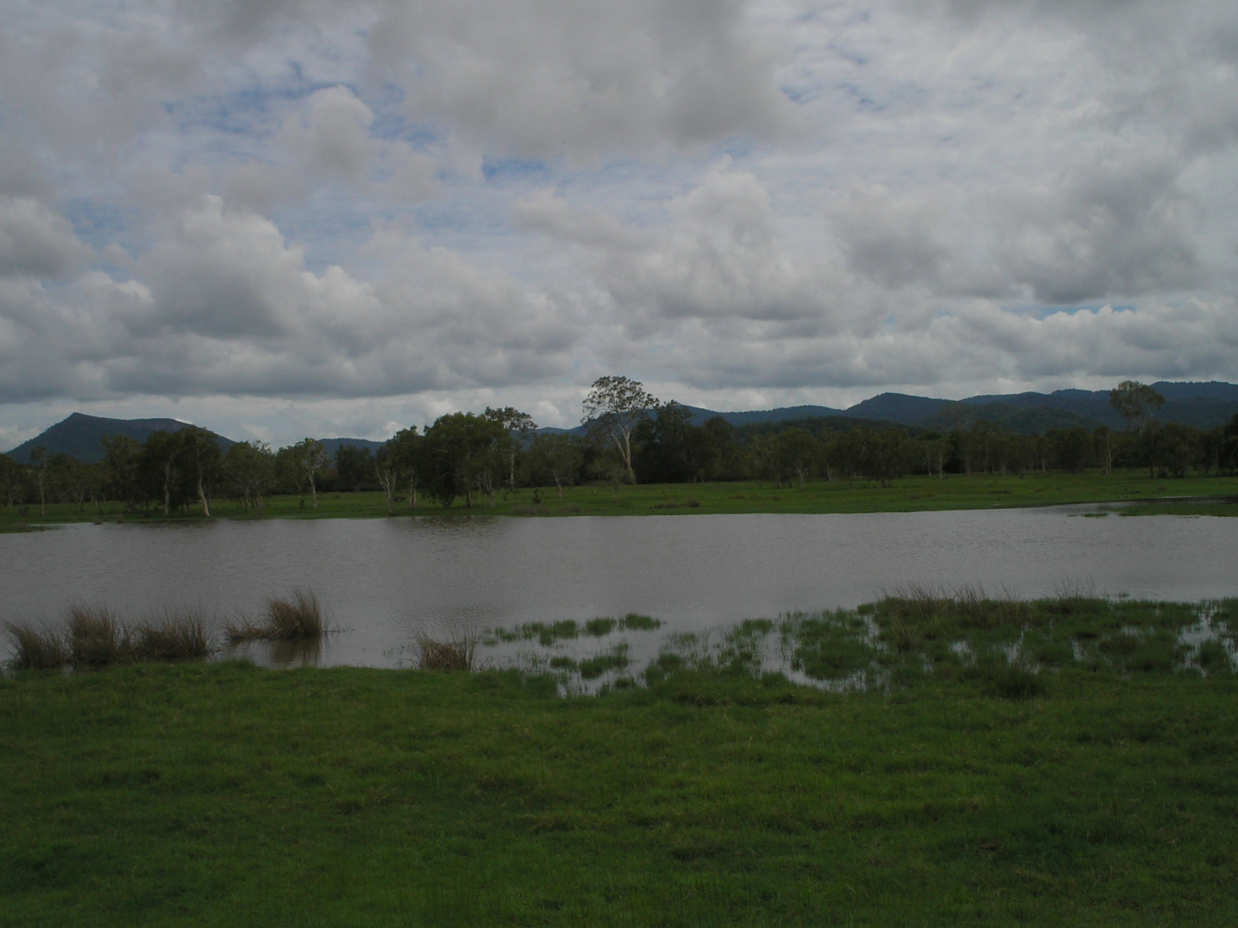 proserpine flood plains.JPG