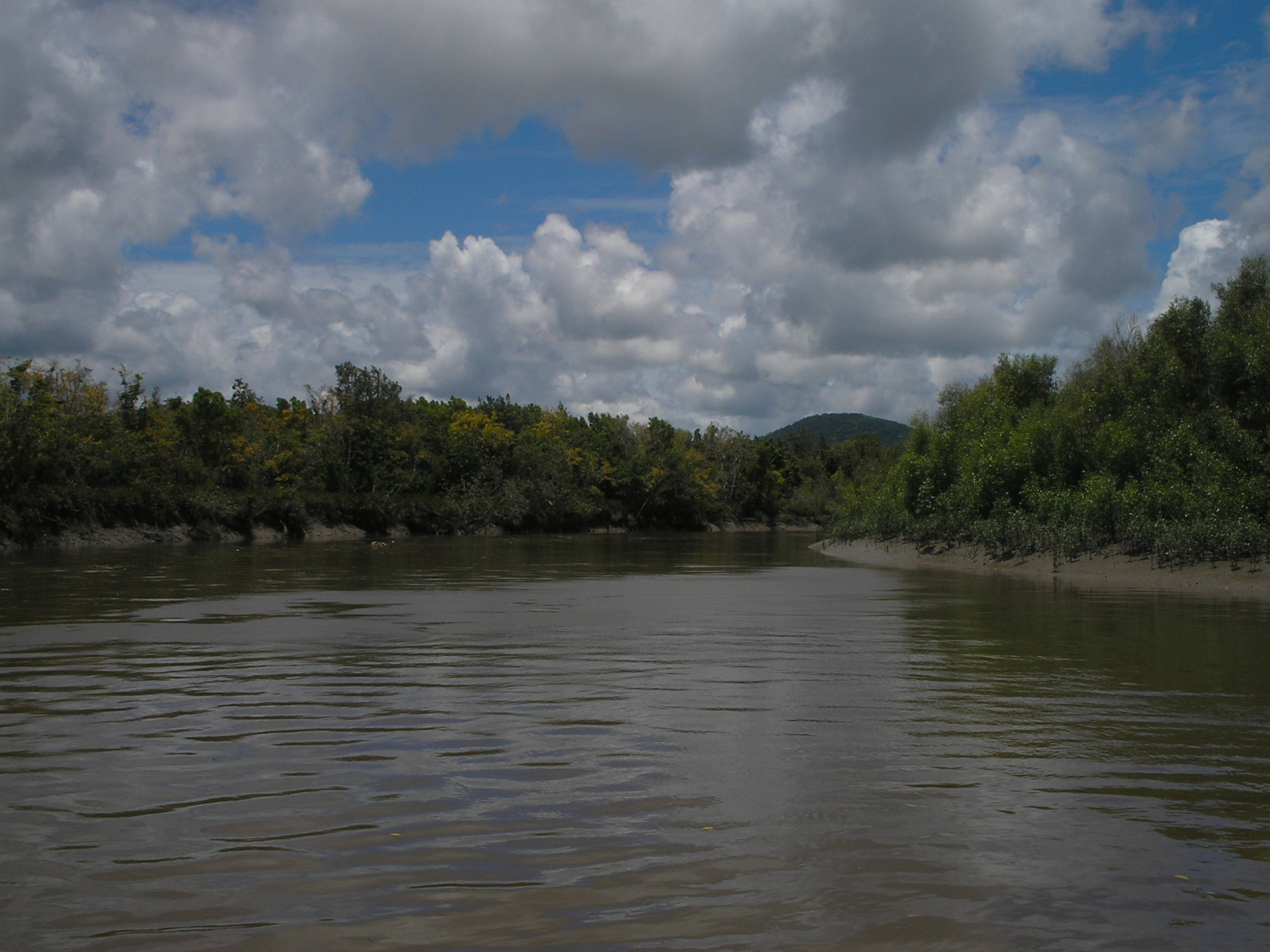 proserpine river 2.JPG