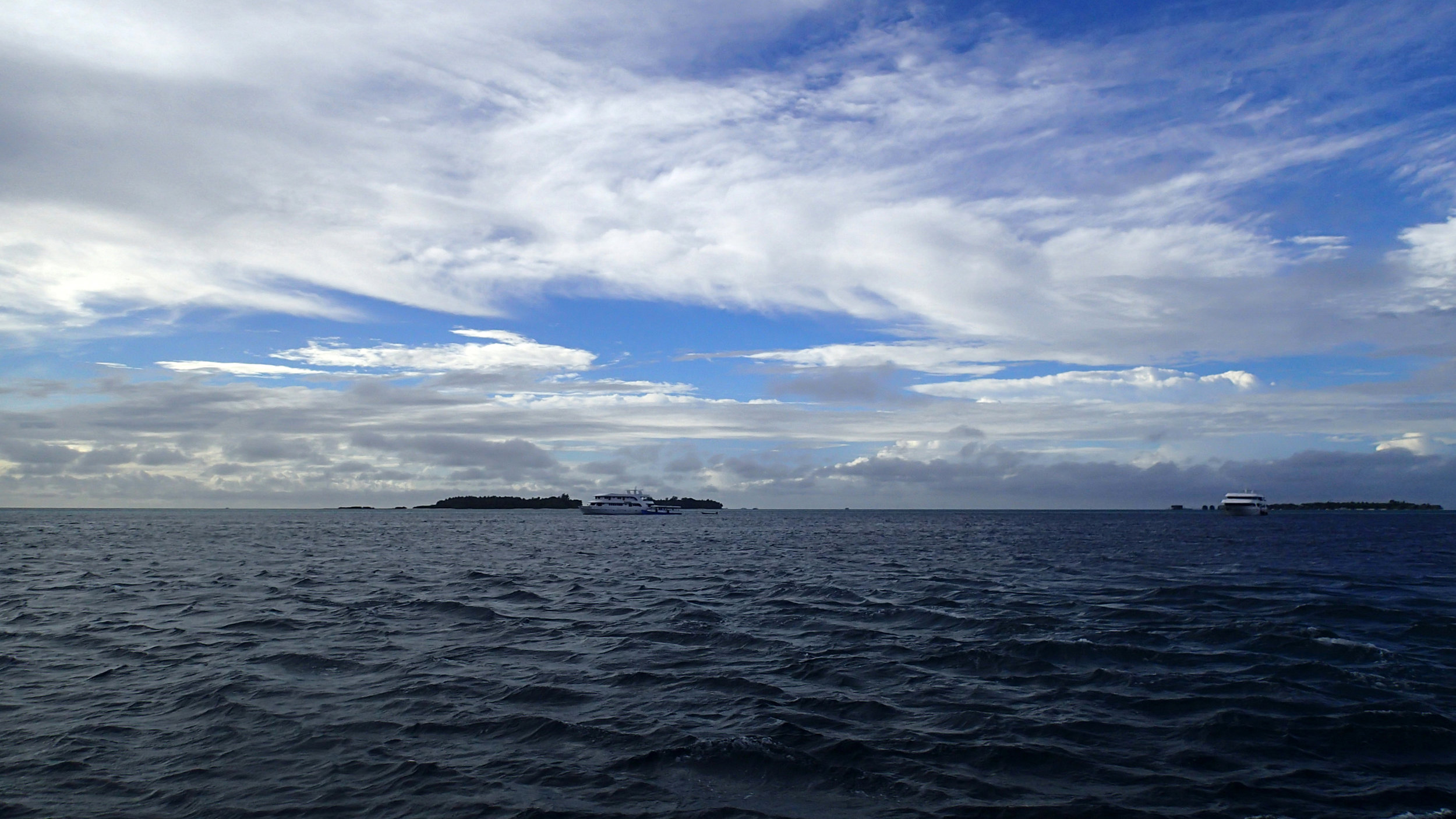 P5220890.JPG