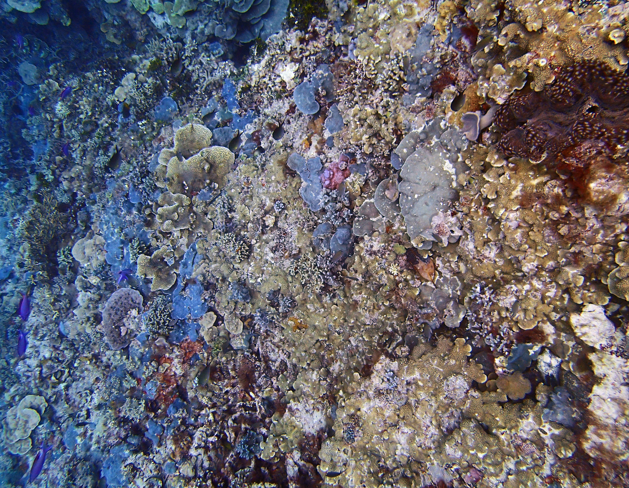 Reef Islands day 1 11-17-14.jpg