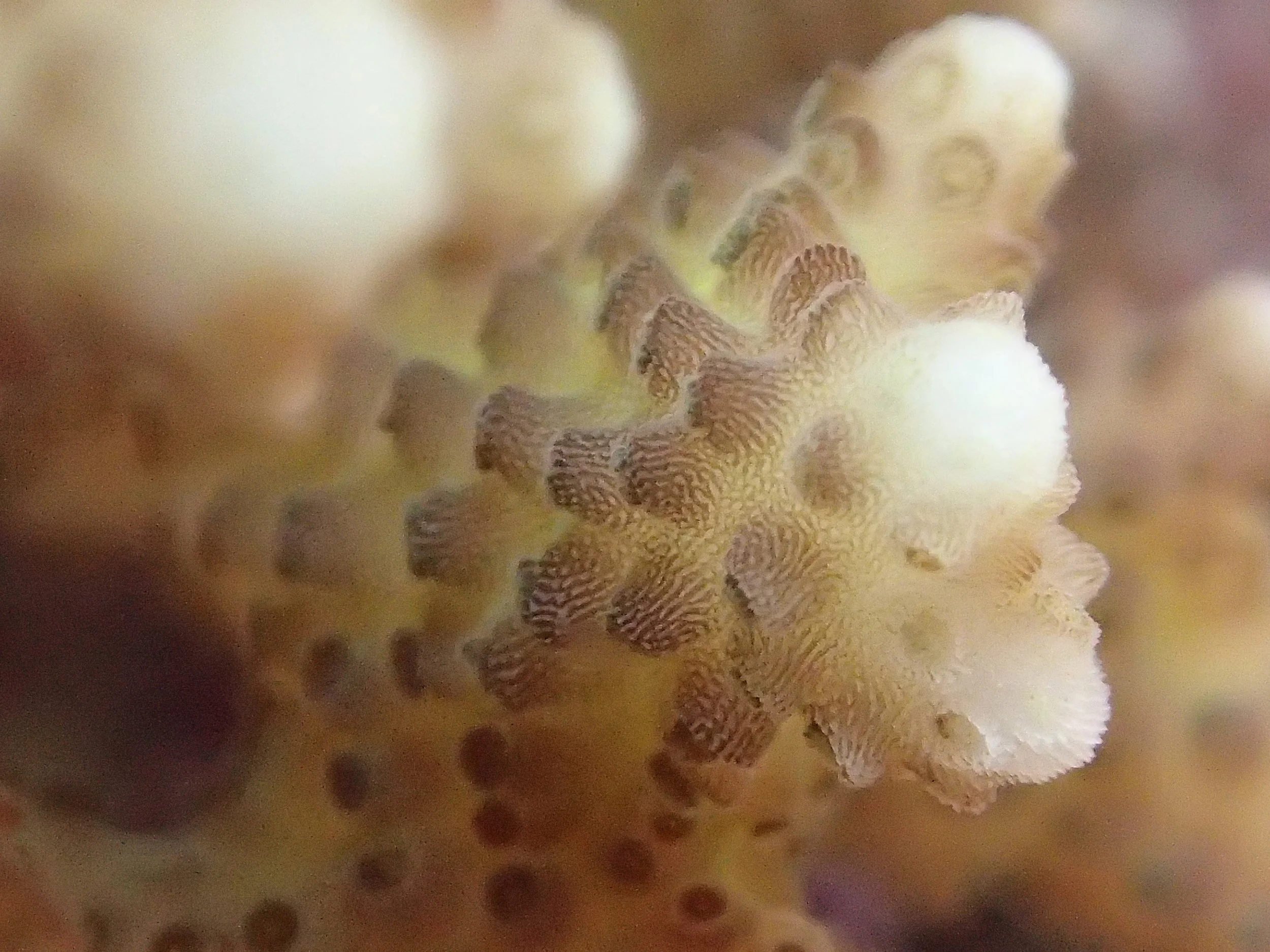 PB110888.JPG