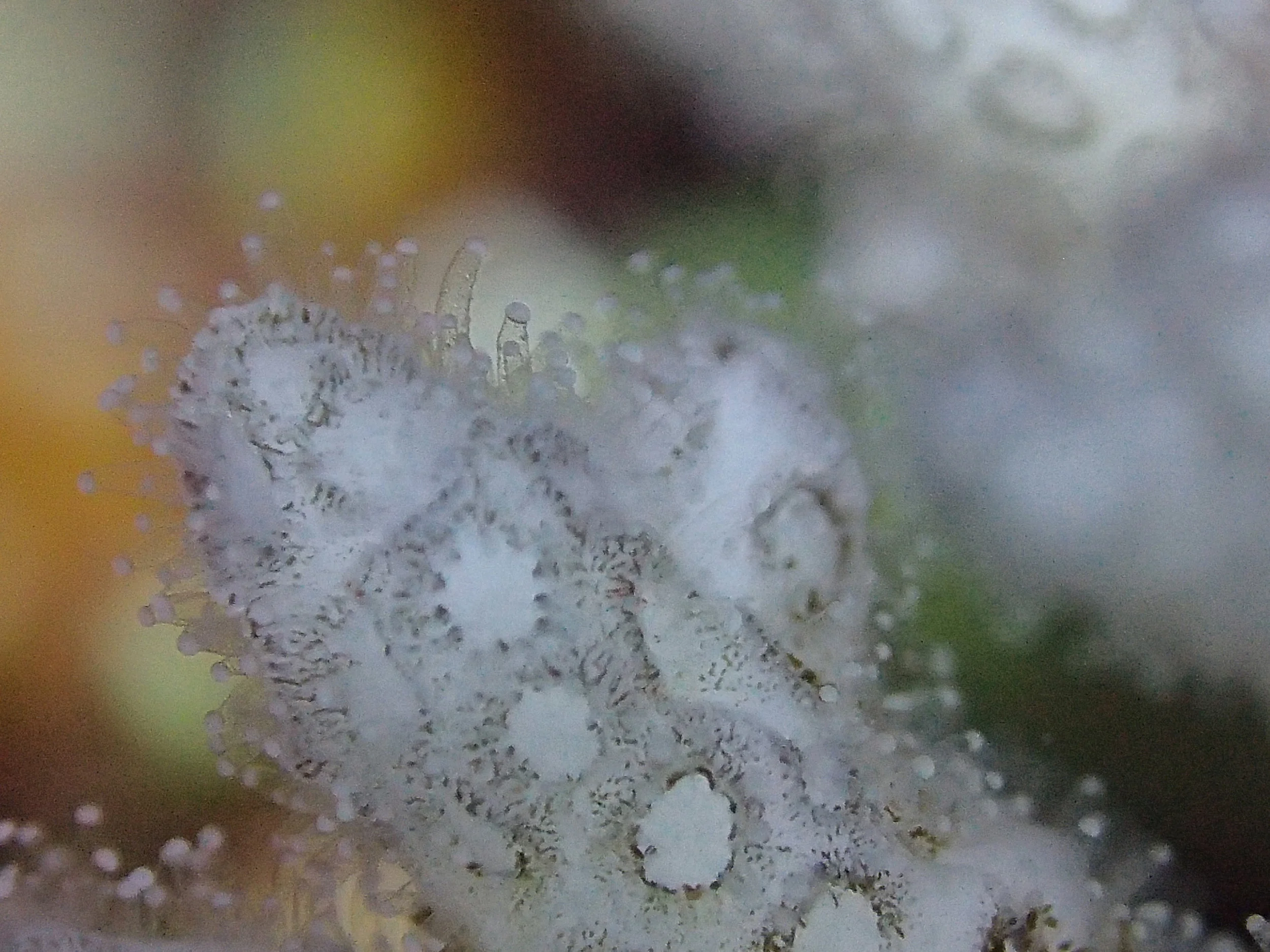 PB110882.JPG