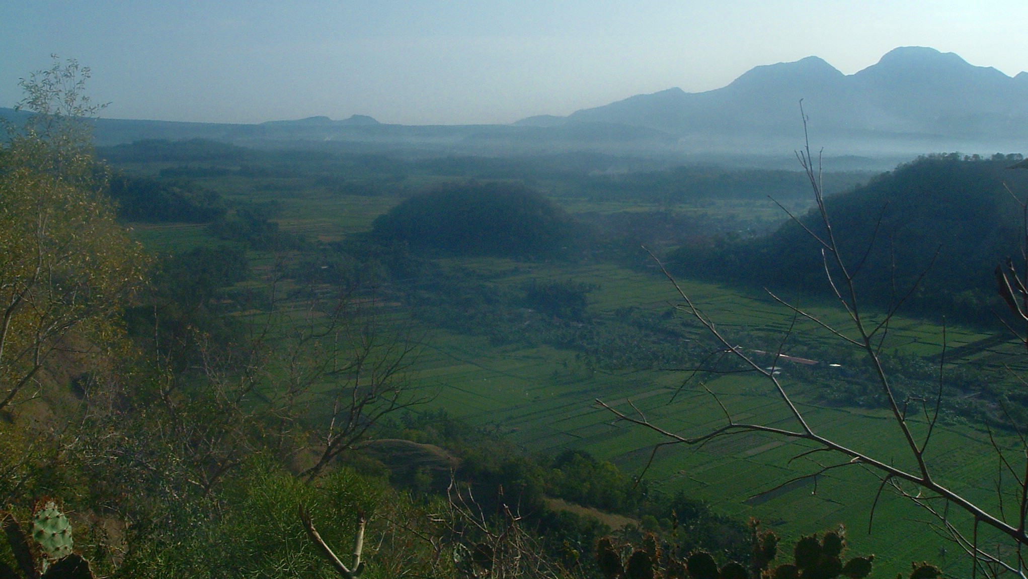 bali rice fields.JPG