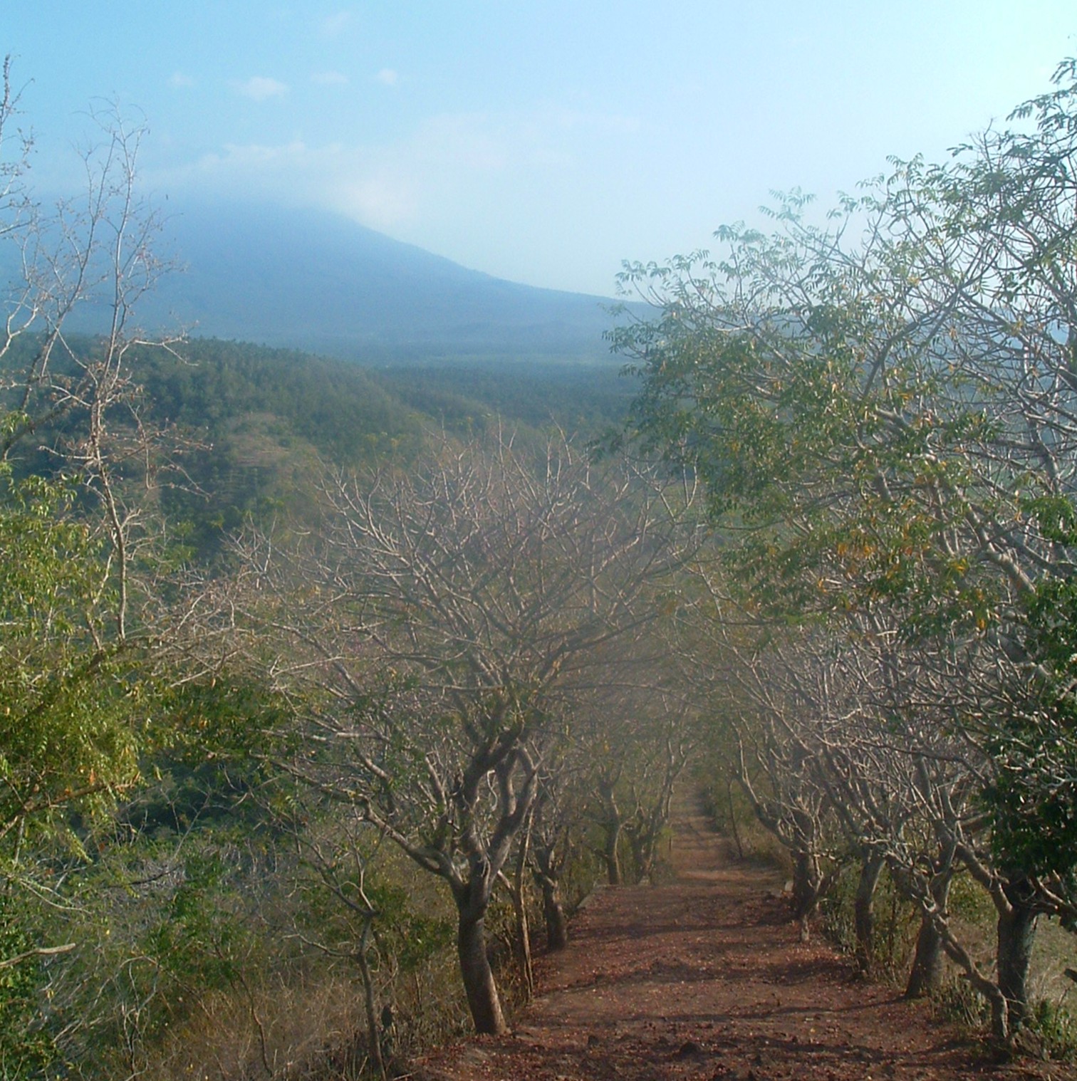 arid bali.JPG