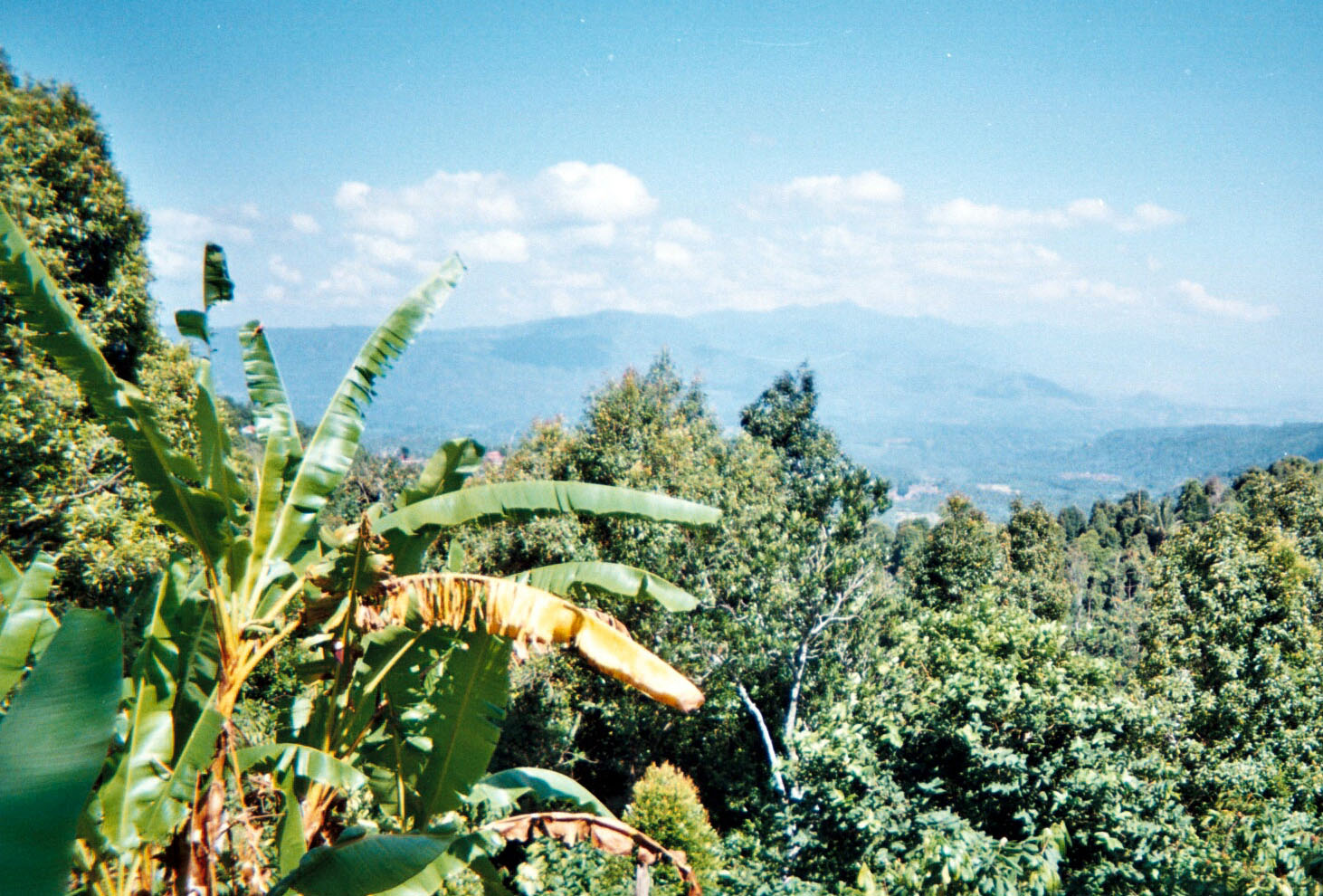 Central Bali Mountains.jpg