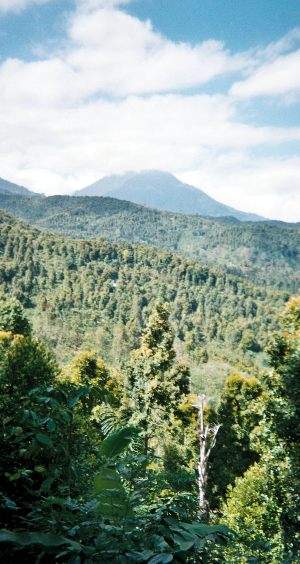 hiking in Bali.jpg