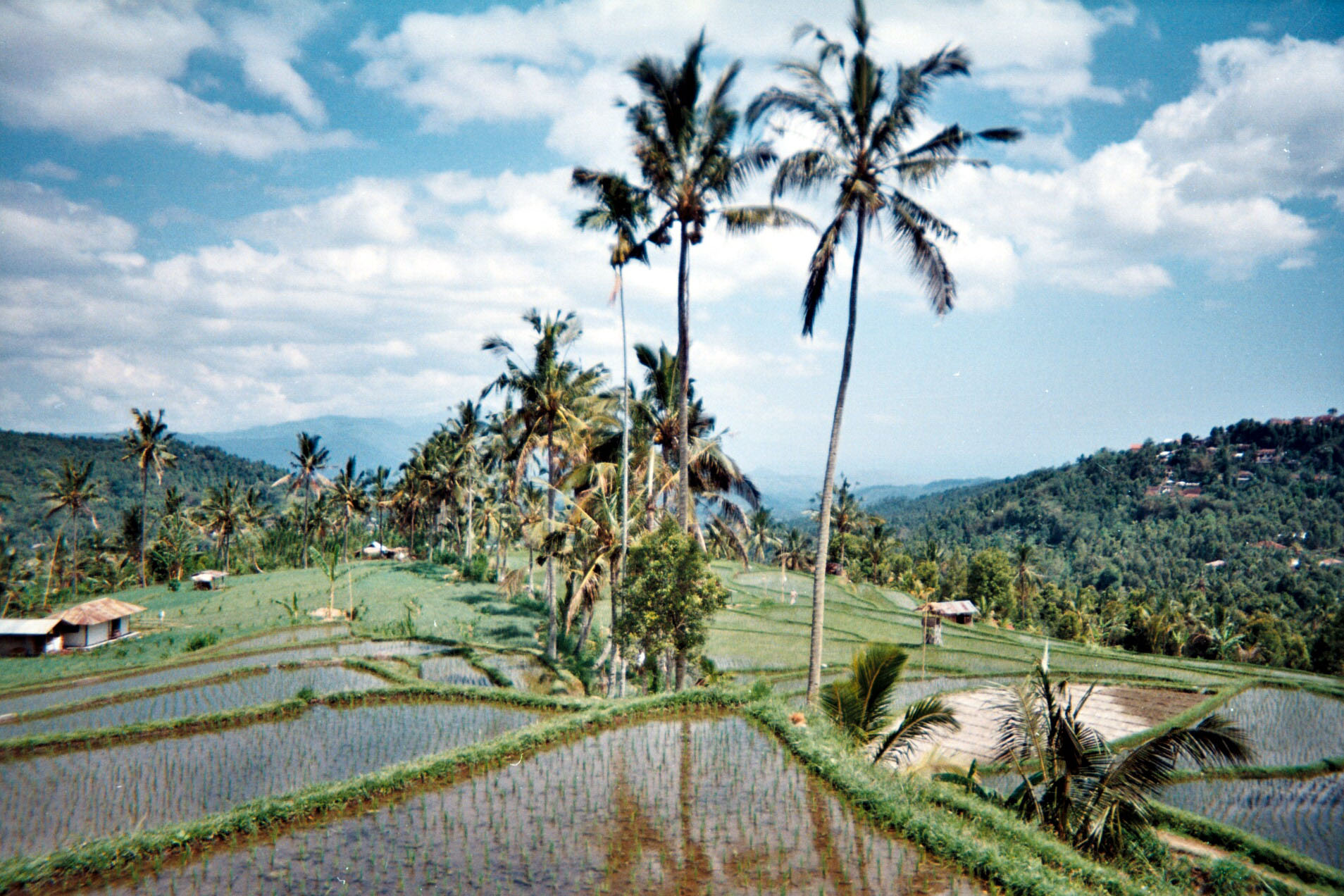Munduk Bali.jpg