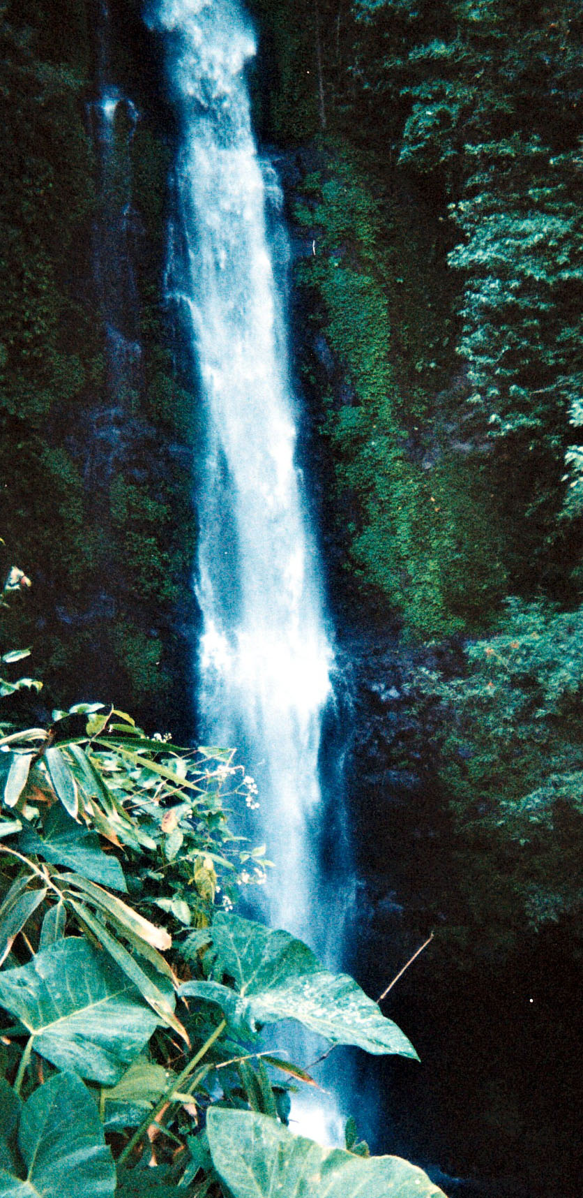 Munduk waterfall hike.jpg