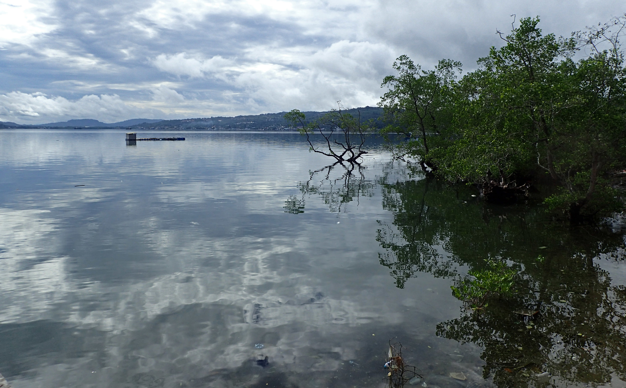 Ambon Bay.jpg