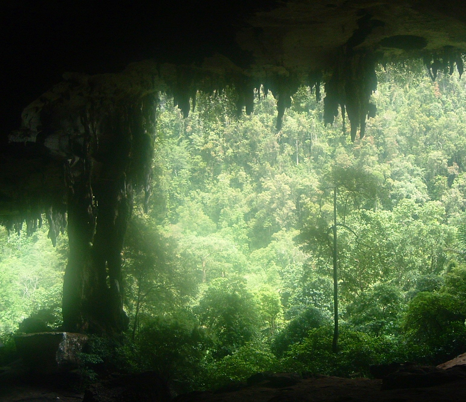 niah caves national park.JPG