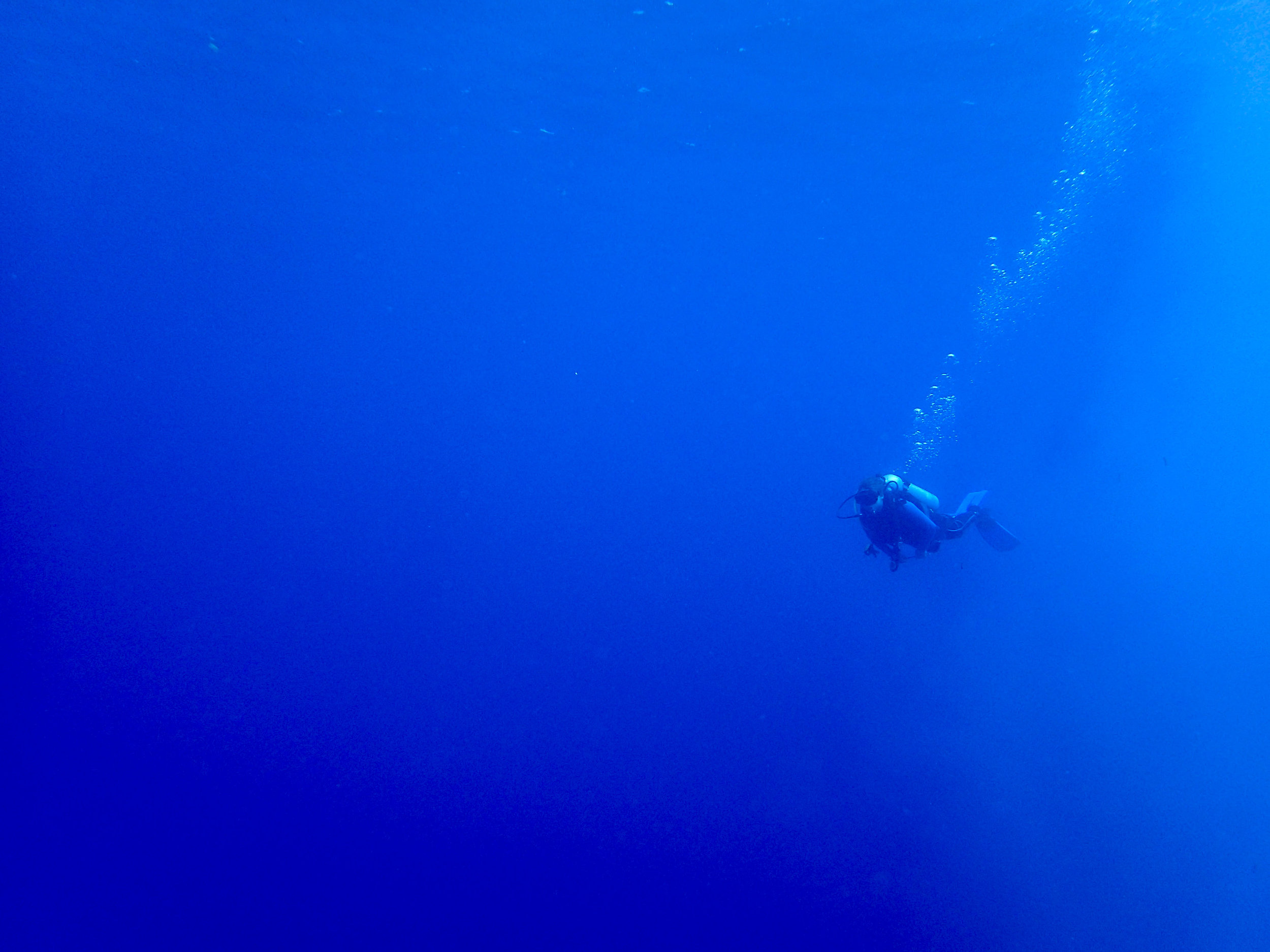 SCUBA diver.jpg