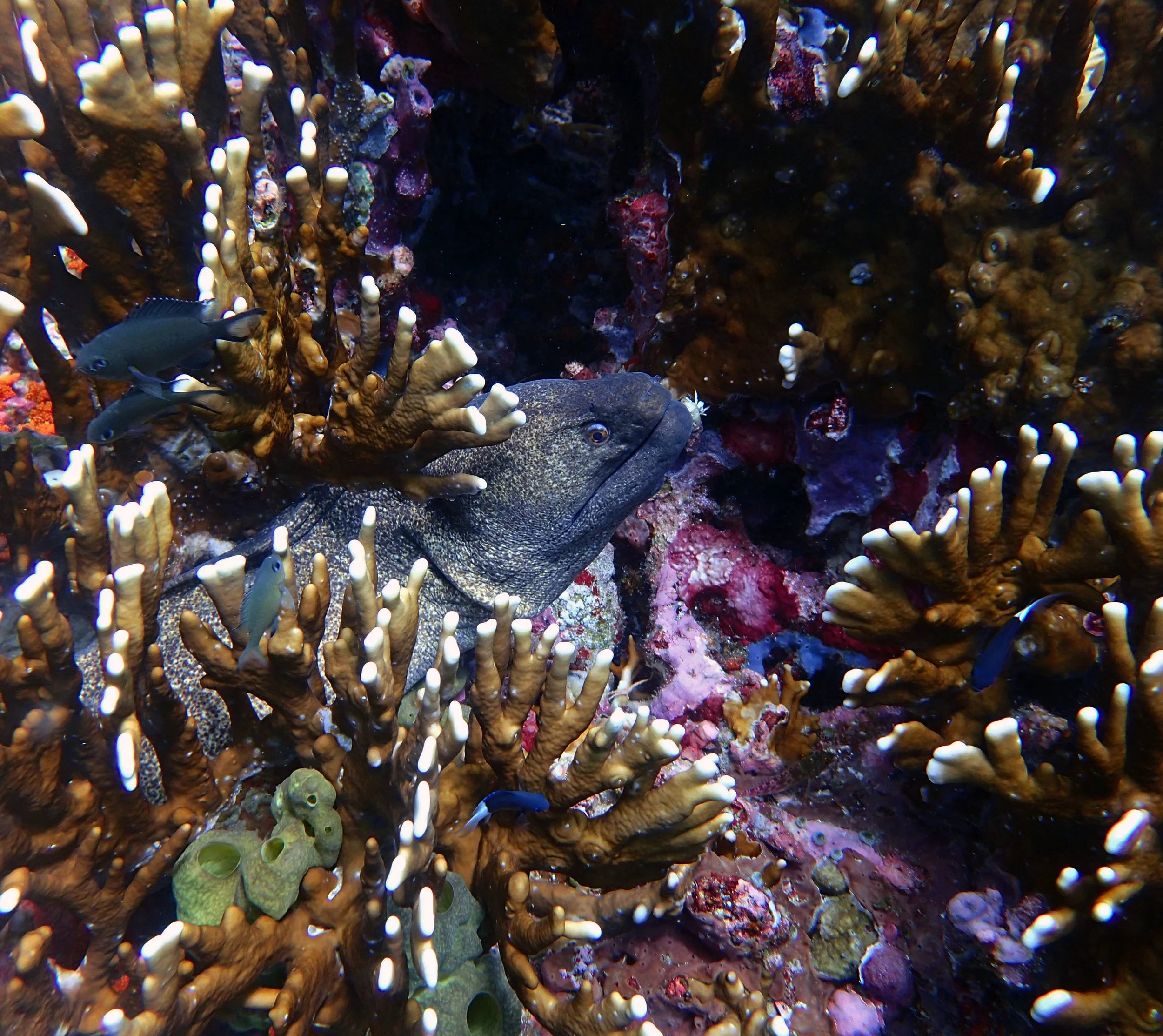 P4285762.JPG