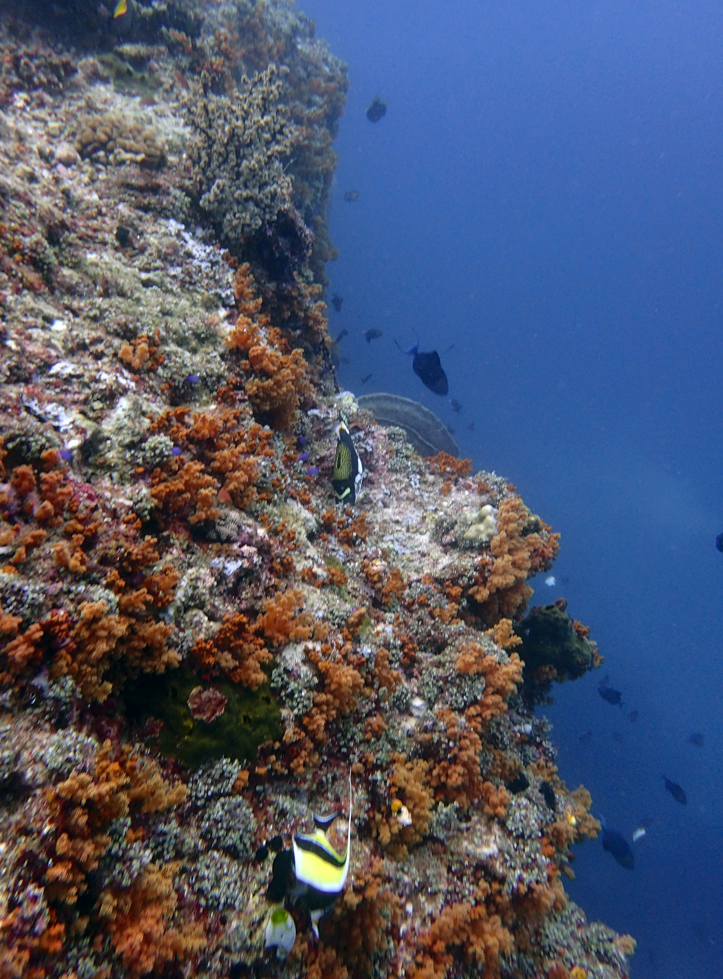 P4285693.JPG