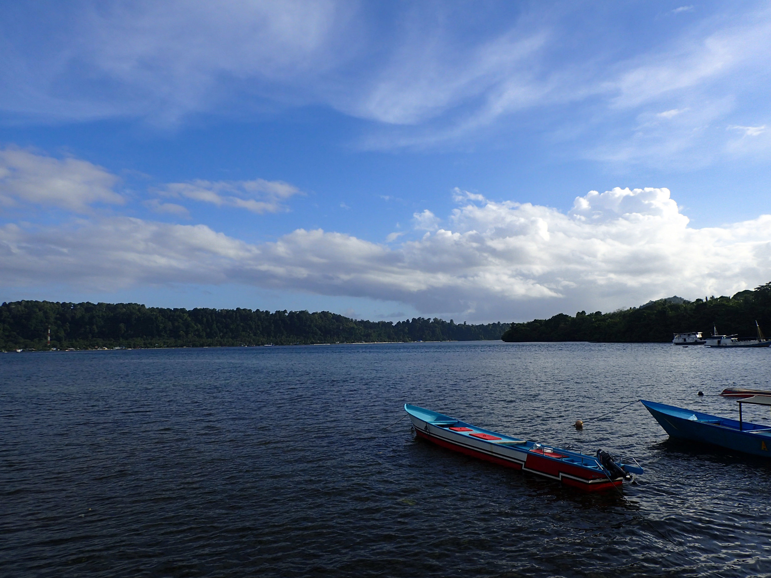 view from Nurasia patio.jpg