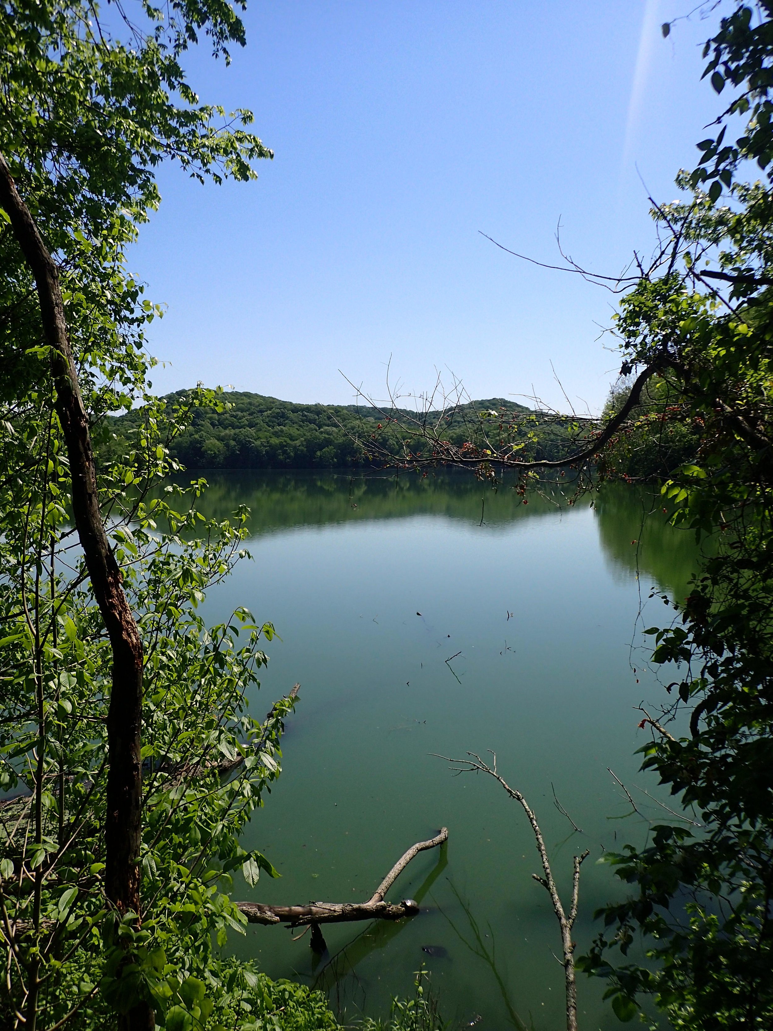 Radnor Lake 2018.jpg