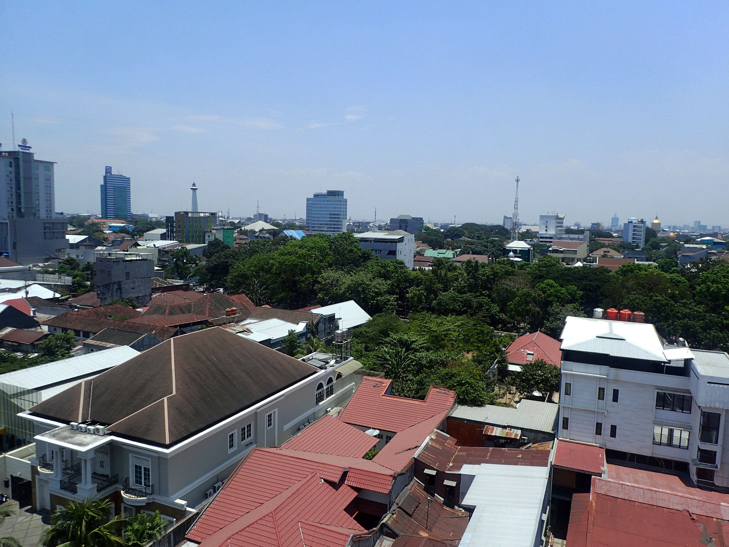 PA110283.jpg
