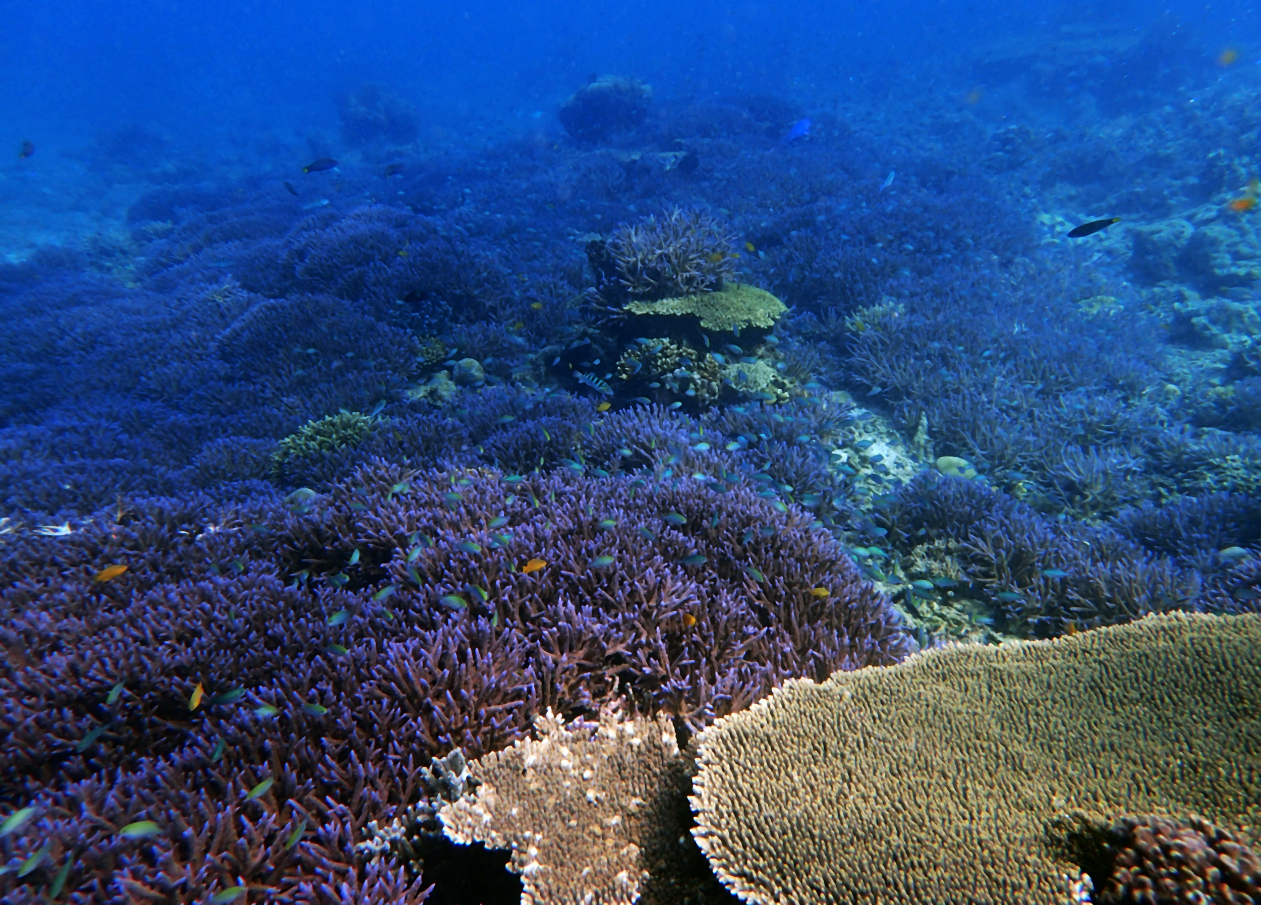 PA120459.jpg