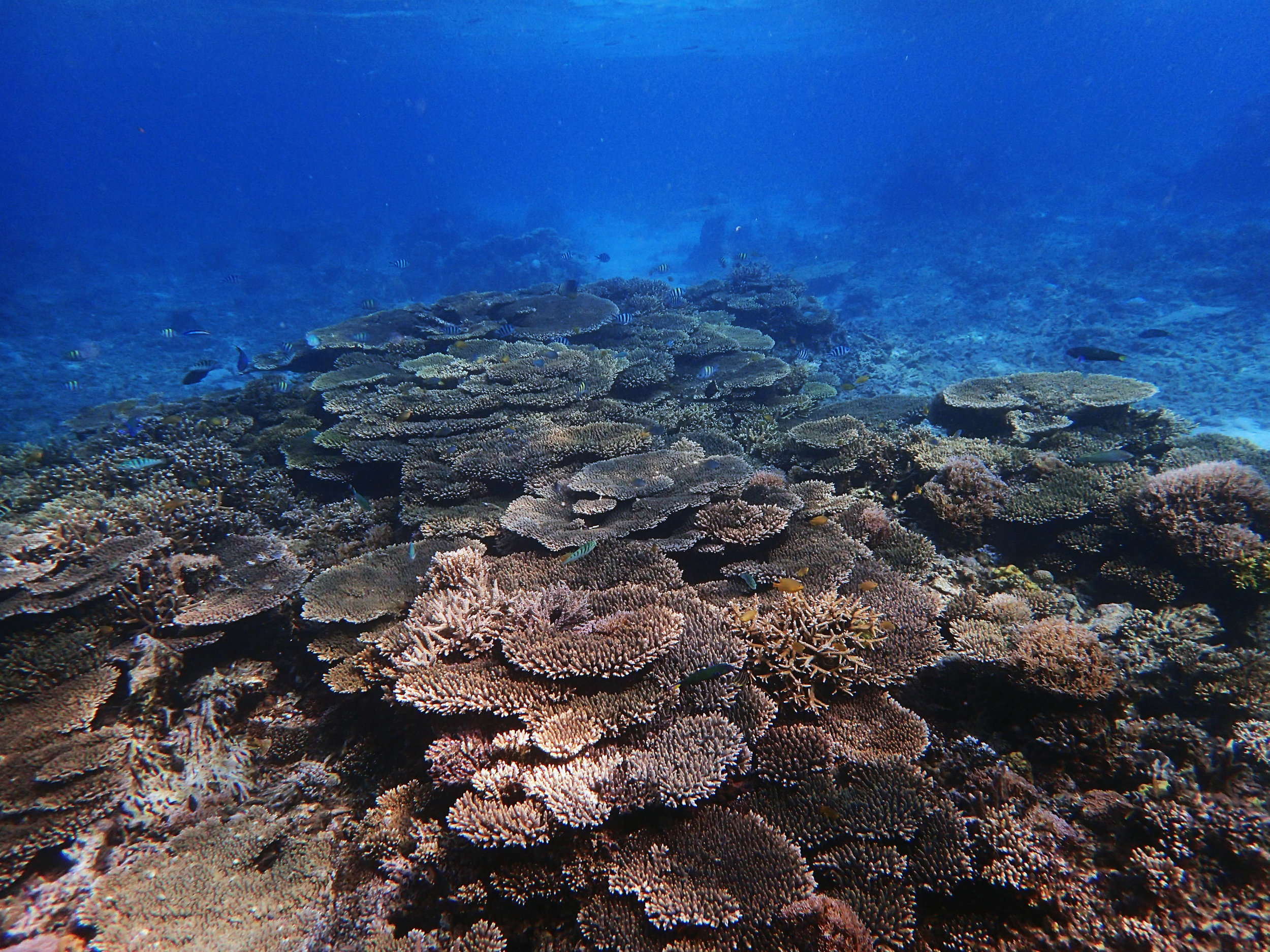 PA120445.jpg