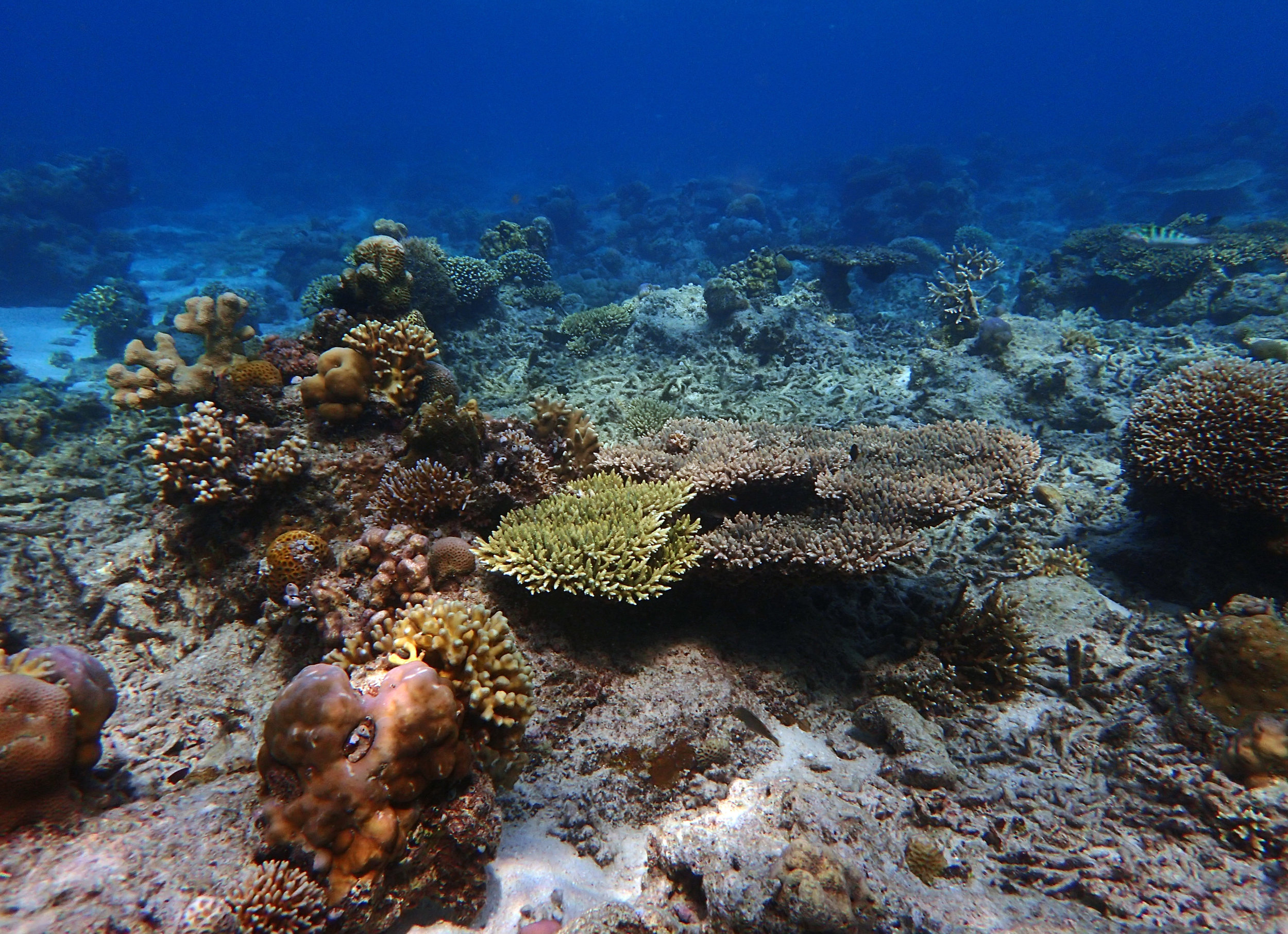 PA120432.jpg
