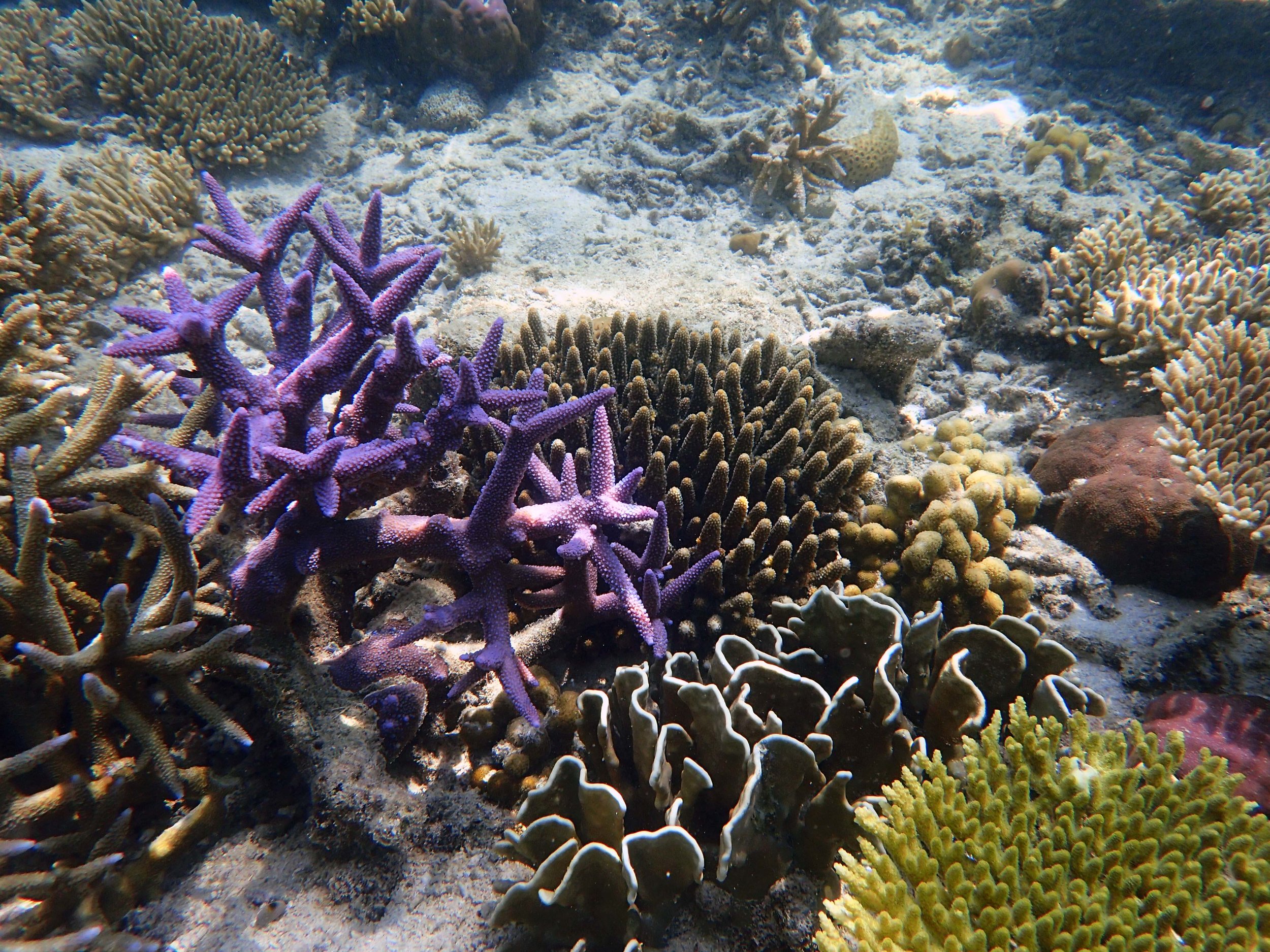 PA120410.jpg