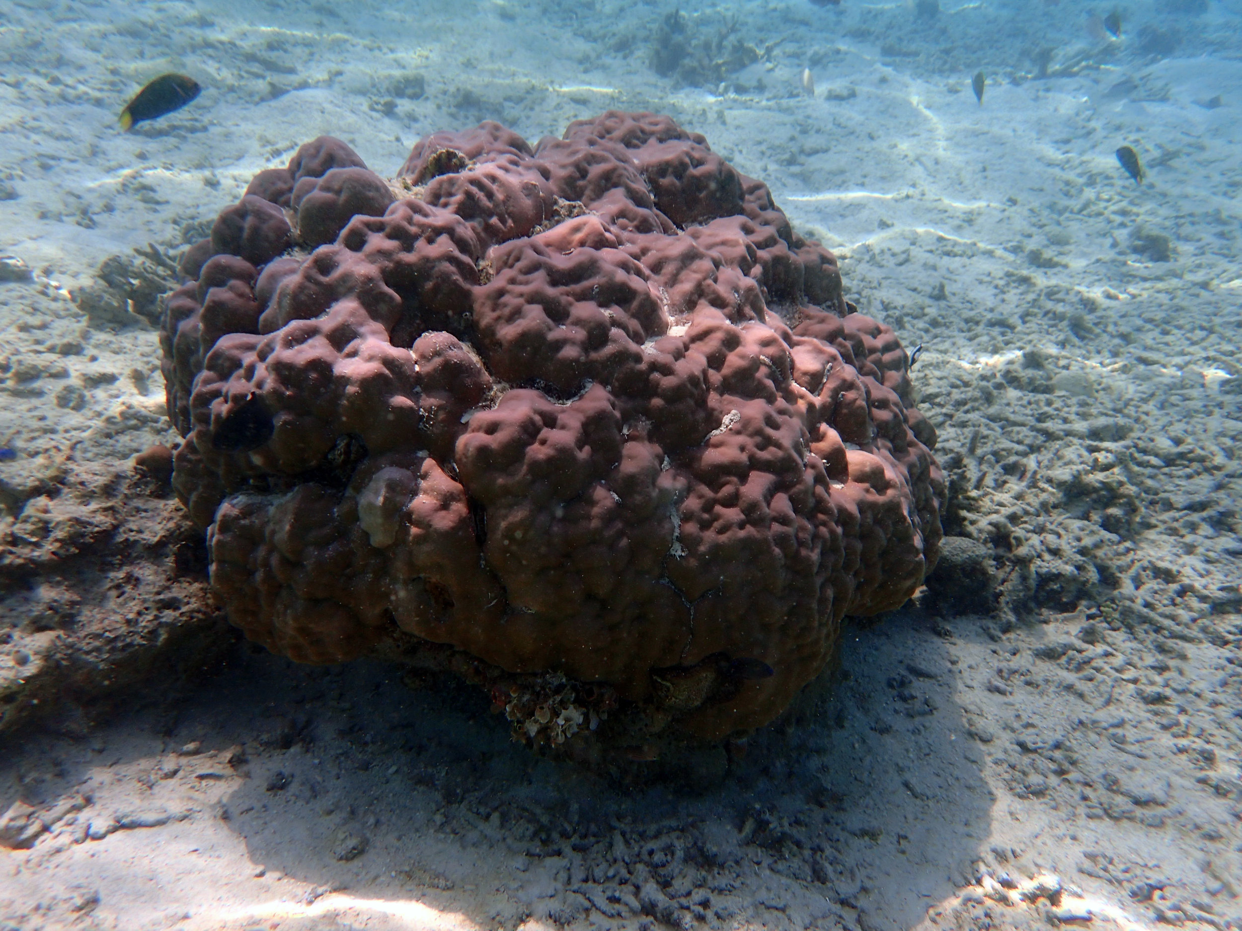PA120392.jpg