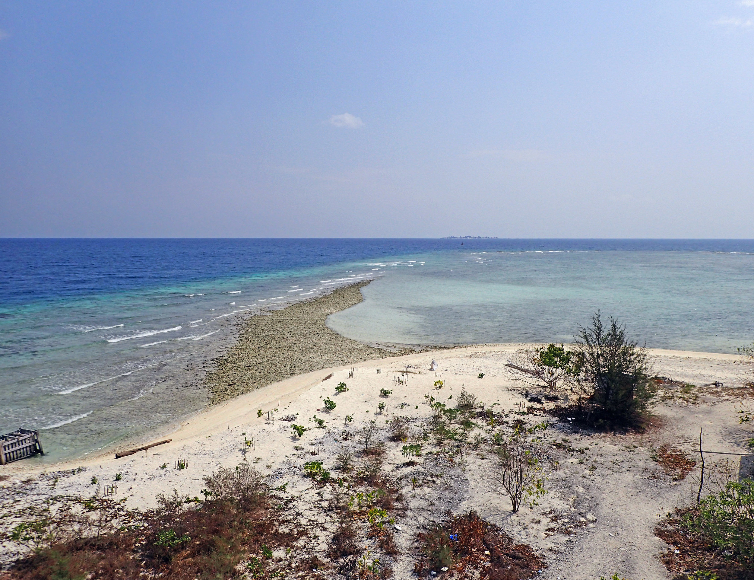 reefs.jpg