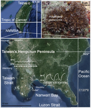 Taiwan-study-sites.gif
