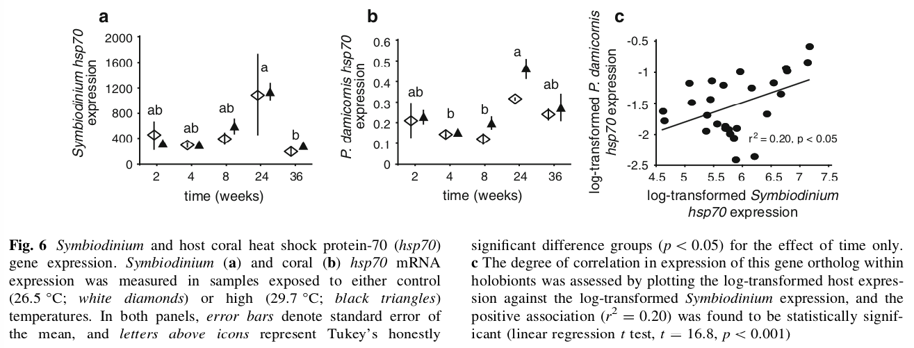 Modest correlation between host coral and Symbiodinium hsp70 mRNA expression.