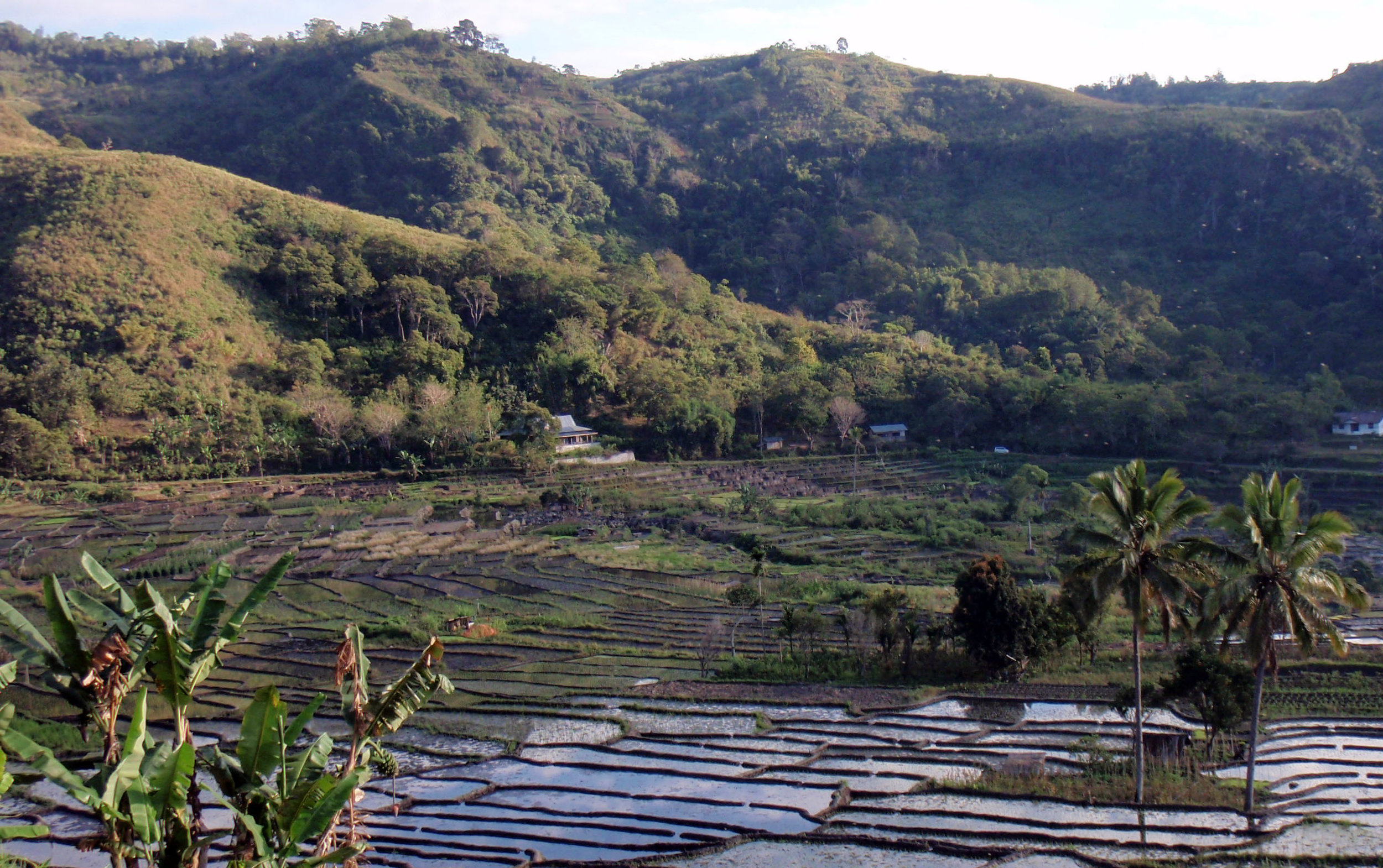 spiderweb rice terrace.jpg