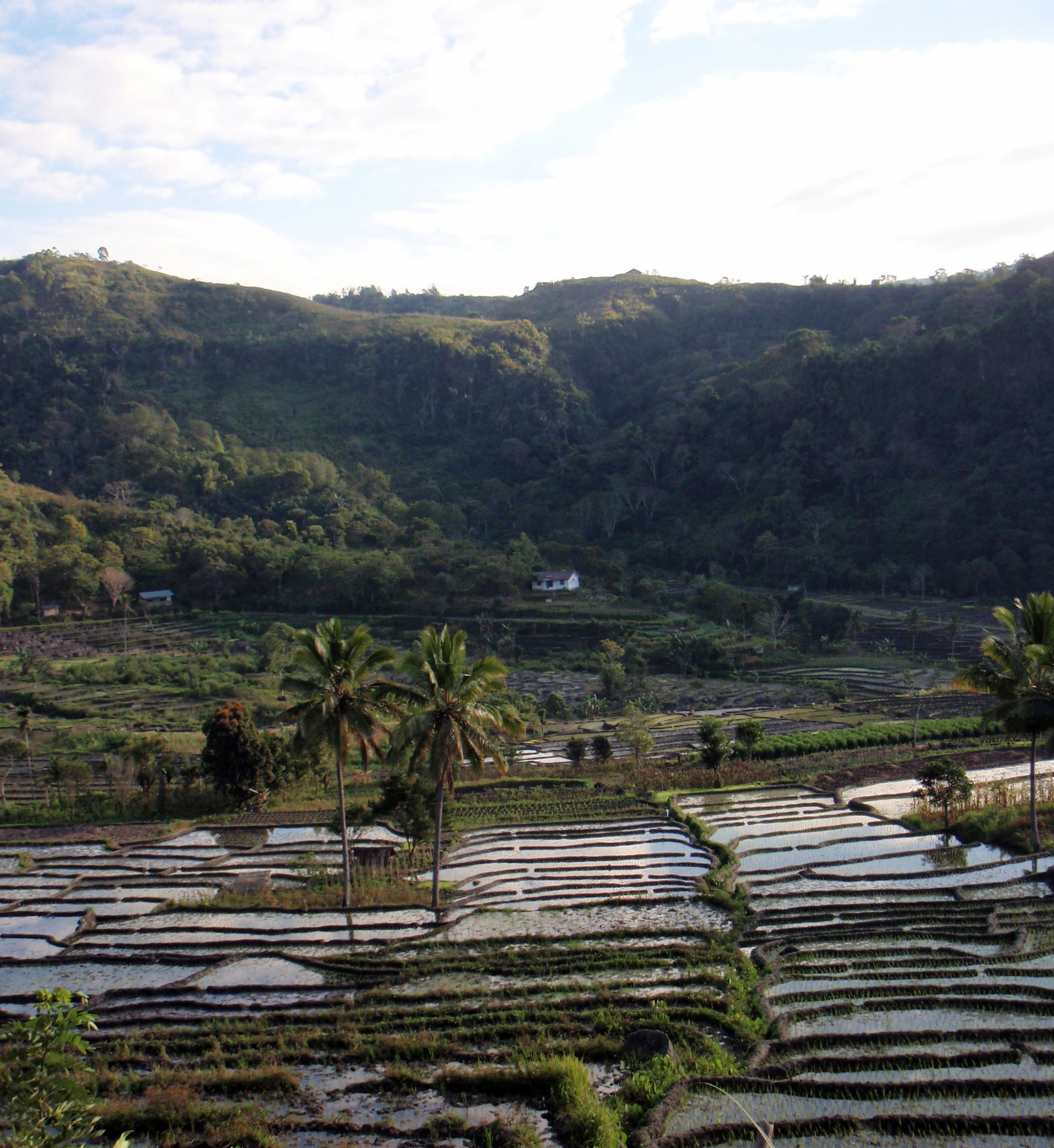 more Moni rice terraces.jpg