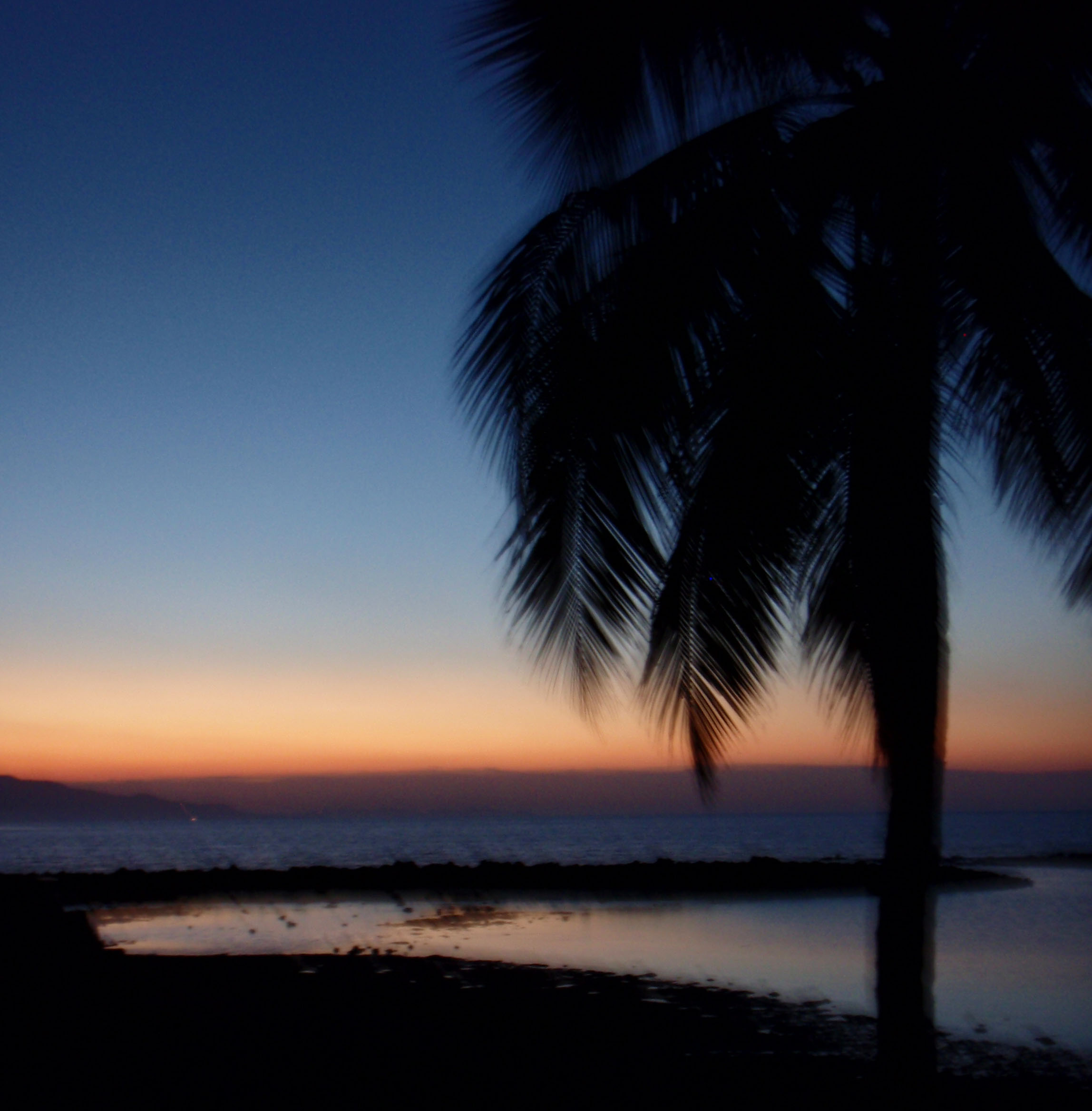 crazy Flores sunset.jpg