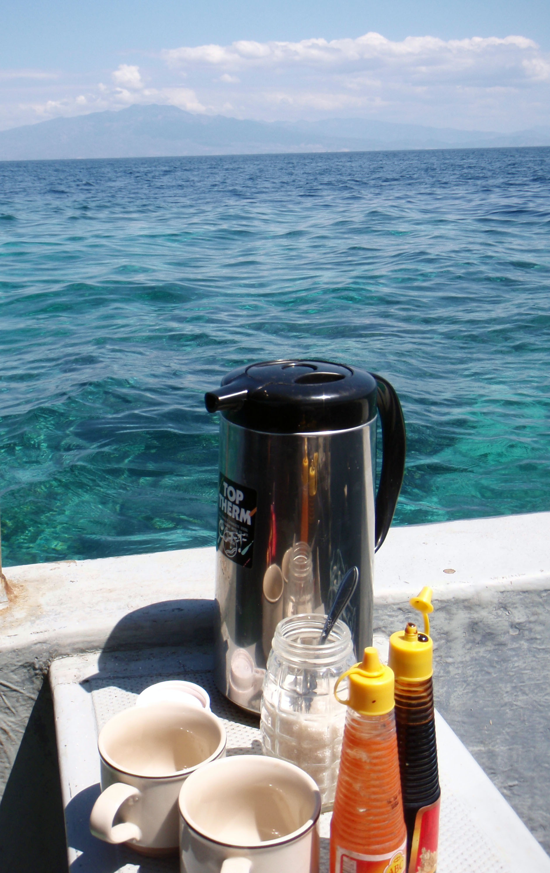 my 3 fav things- coffee, hot sauce, reefs.jpg