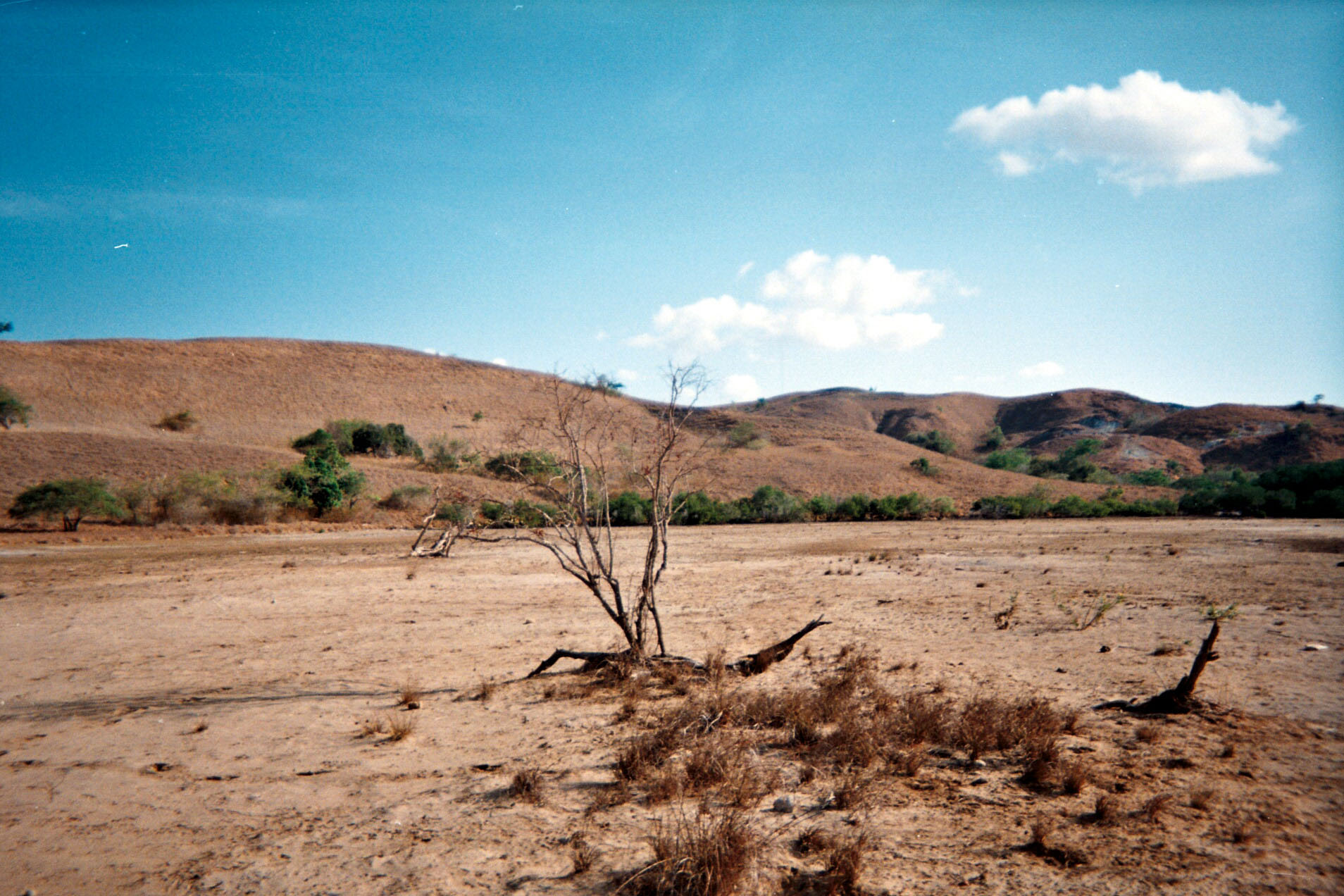 desolate Rinca.jpg