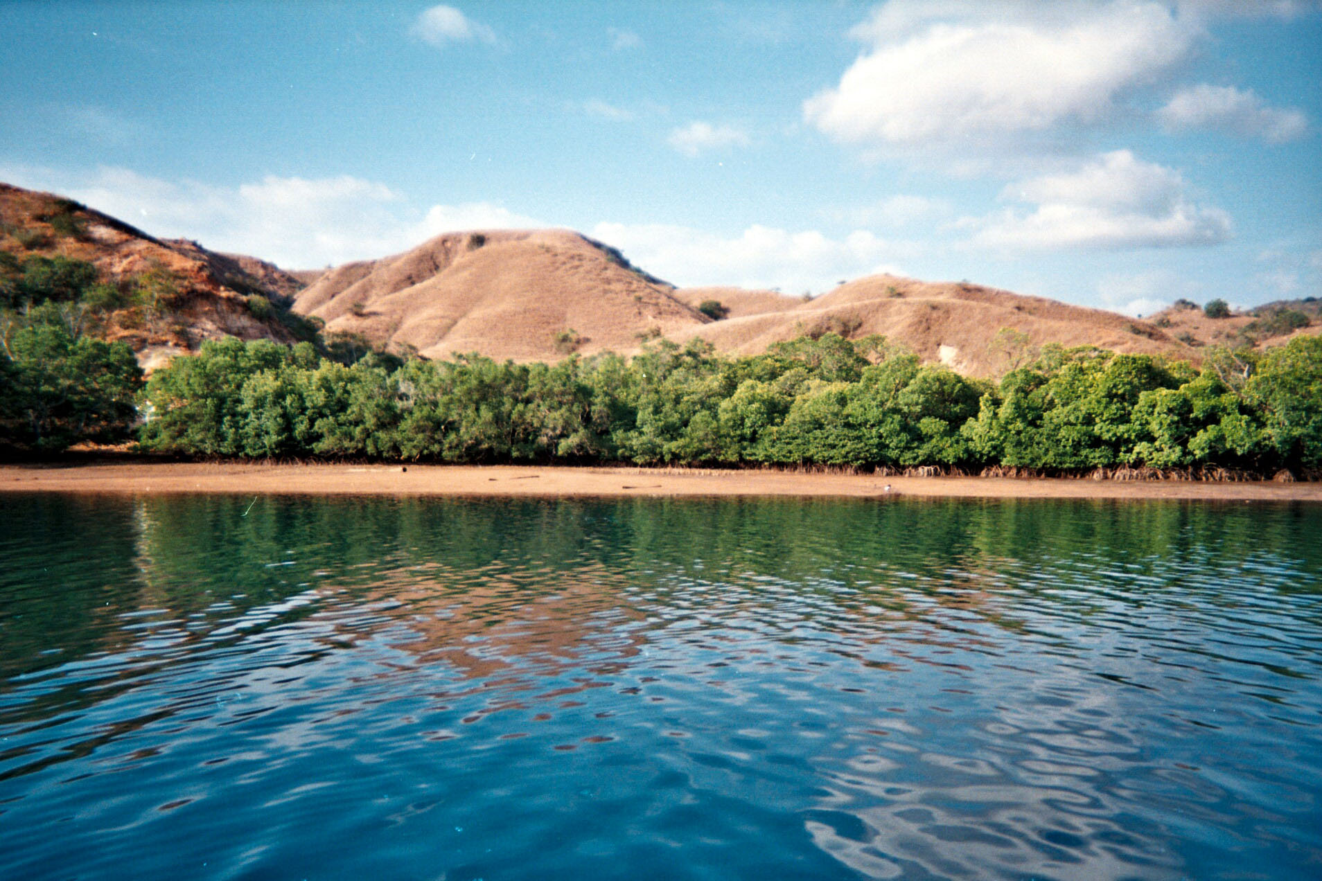 Rinca from the boat.jpg