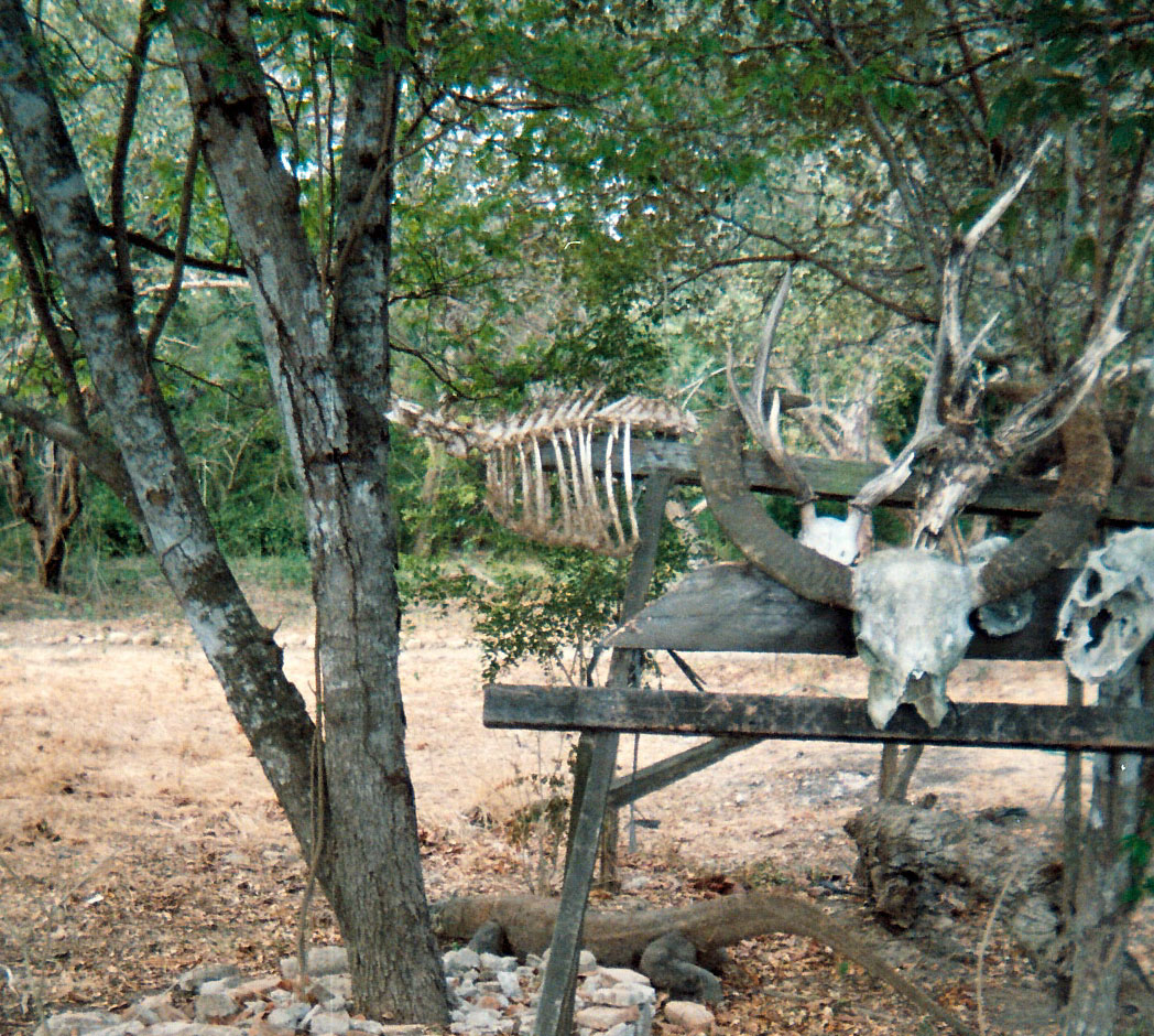 oro and skulls.jpg