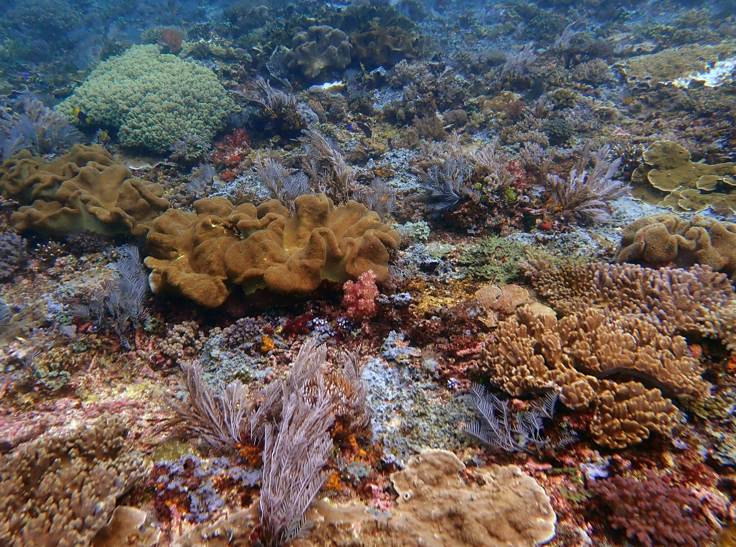 P1192462.jpg