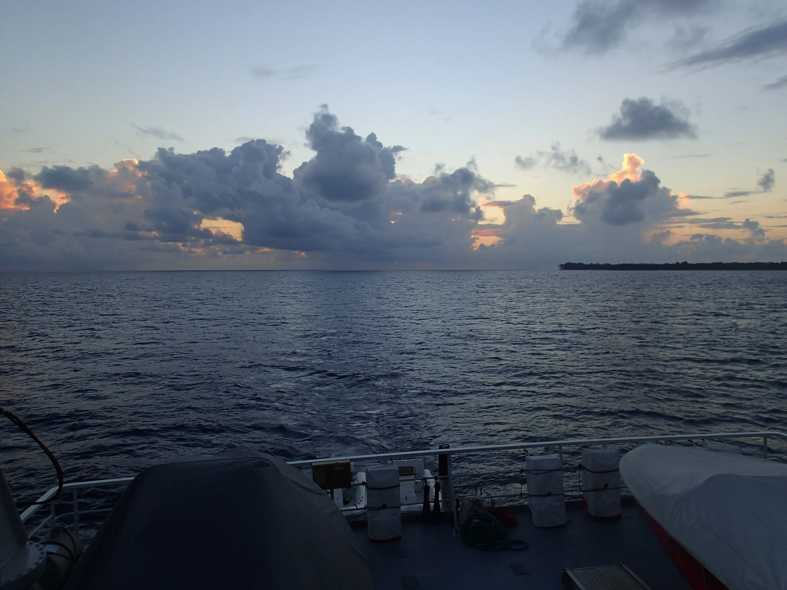 Angaur Topside | Coral Reef Diagnostics — Coral Reef Diagnostics