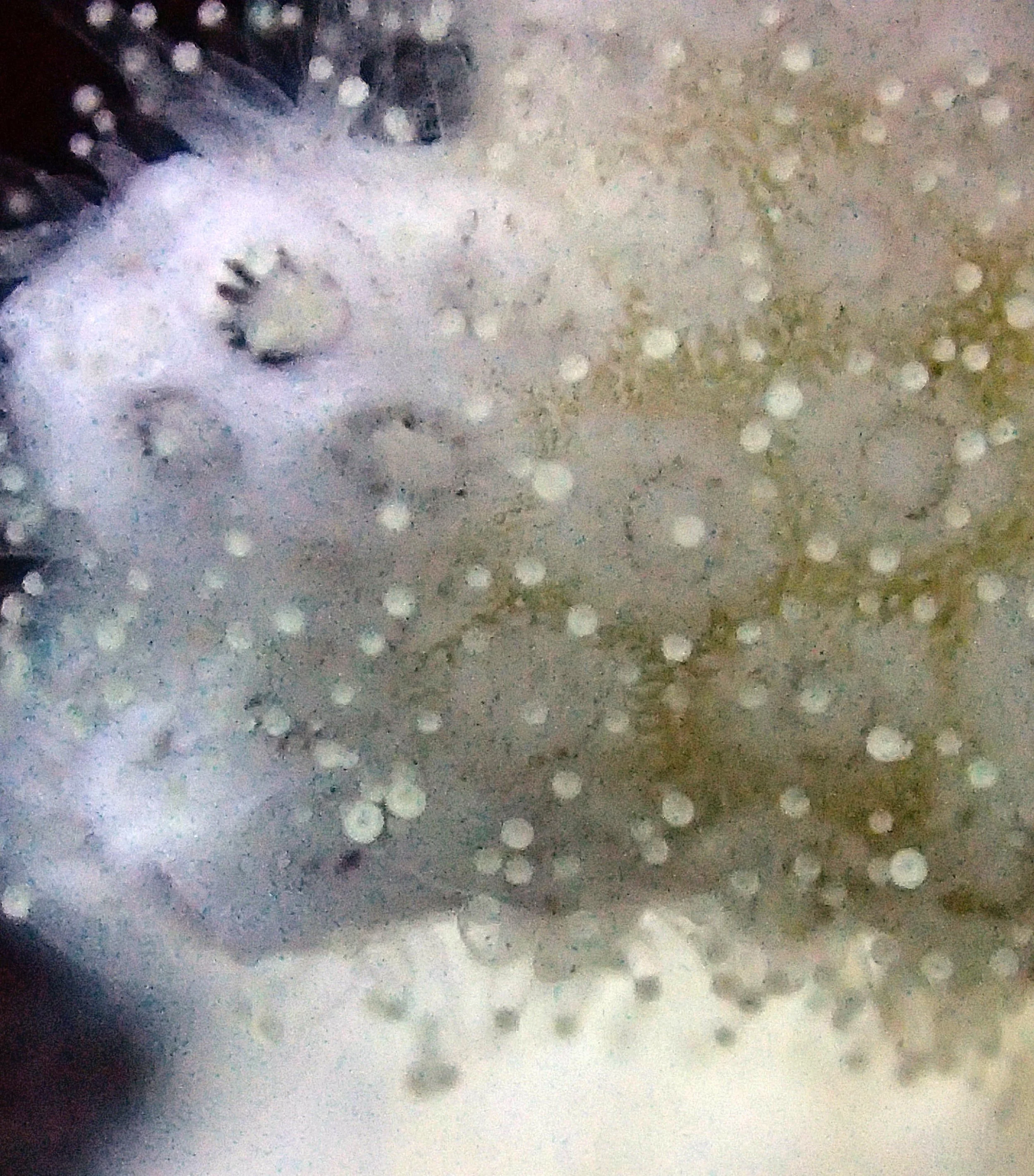 P1101731.jpg