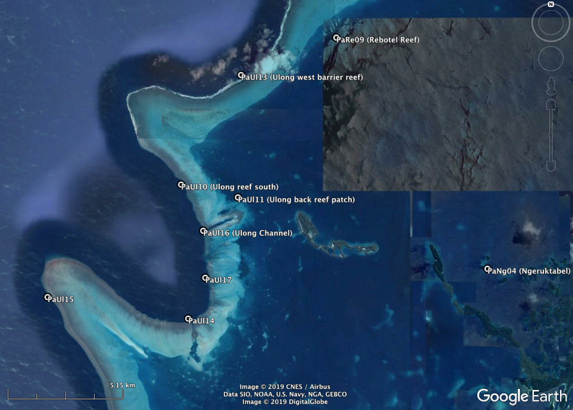 Exact GPS coordinates can be found in the data files posted on “ Palau overview .” High-resolution habitat maps will be available on the Living Oceans Foundation’s world reef map website in late 2019.