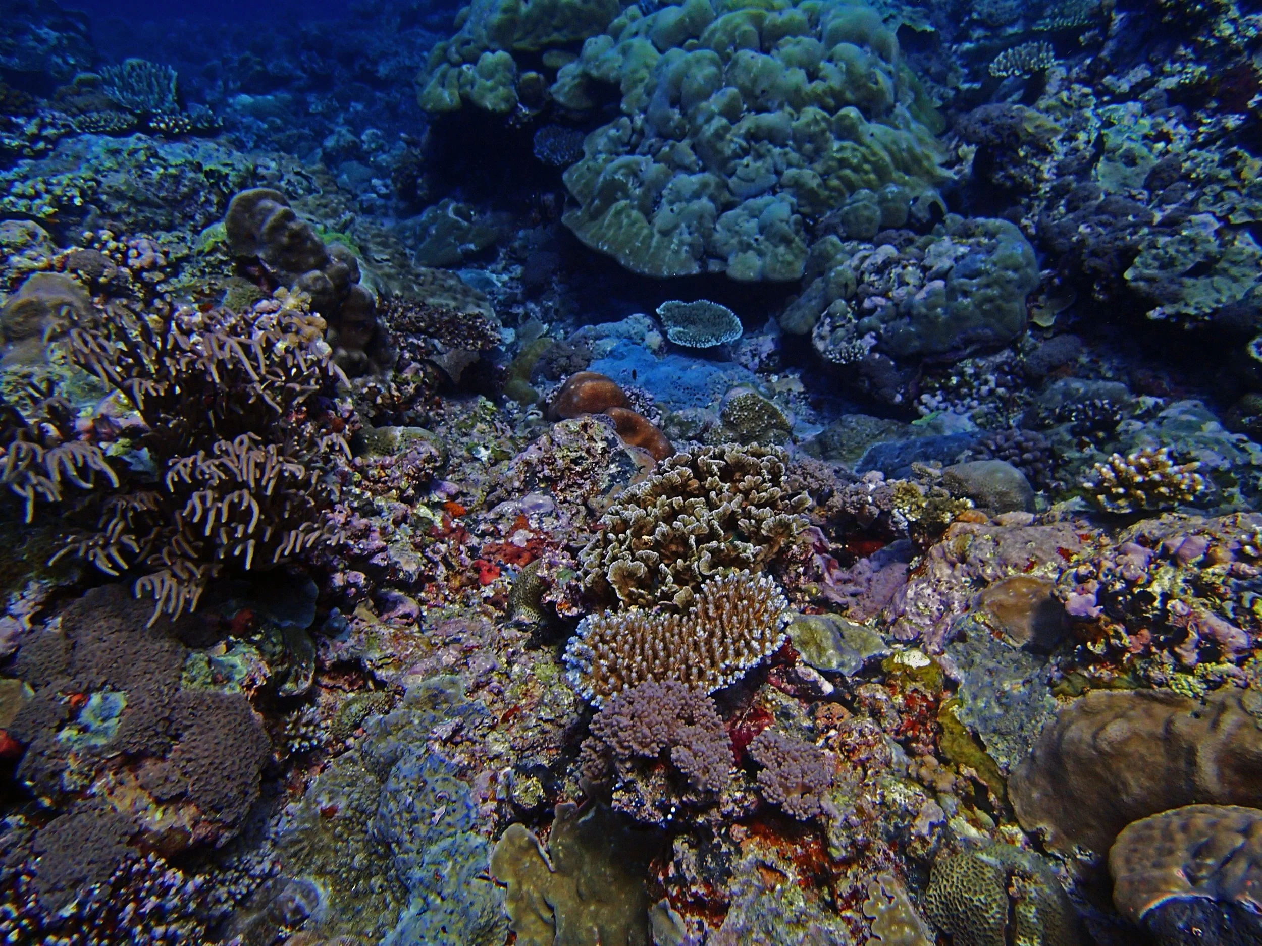 P1191825.jpg