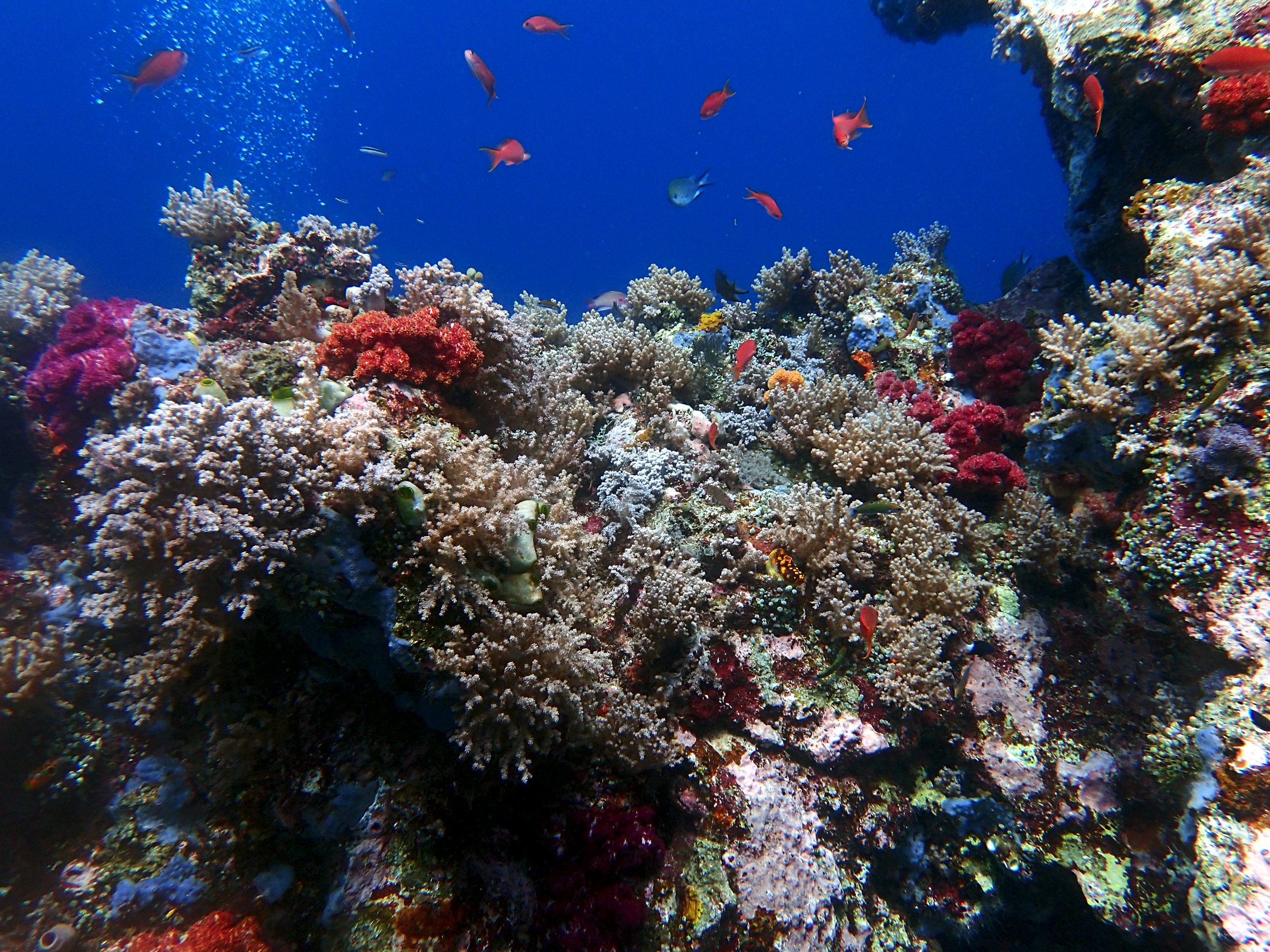 best Nudi Rock shot.jpg