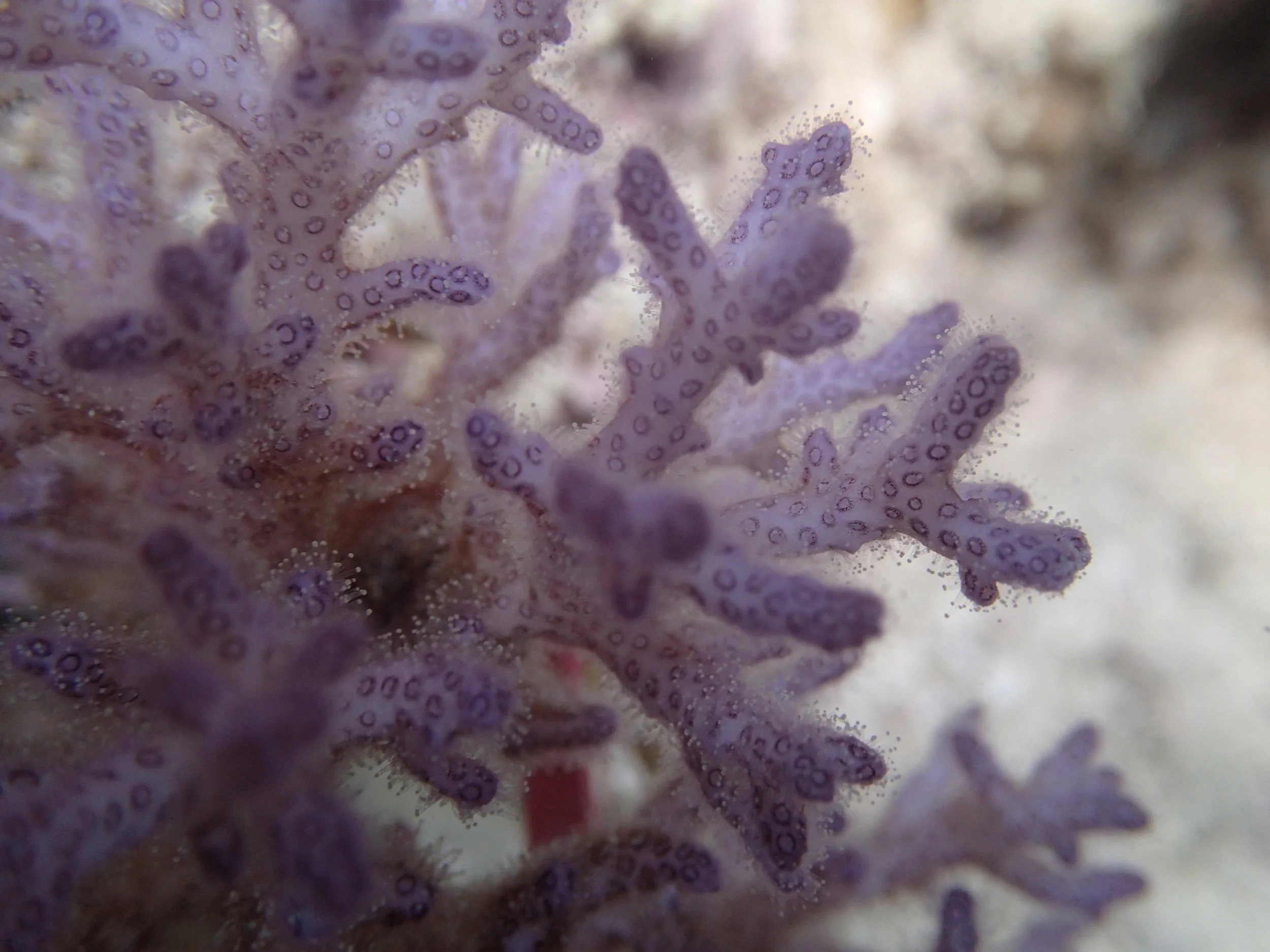 PB120951.jpg