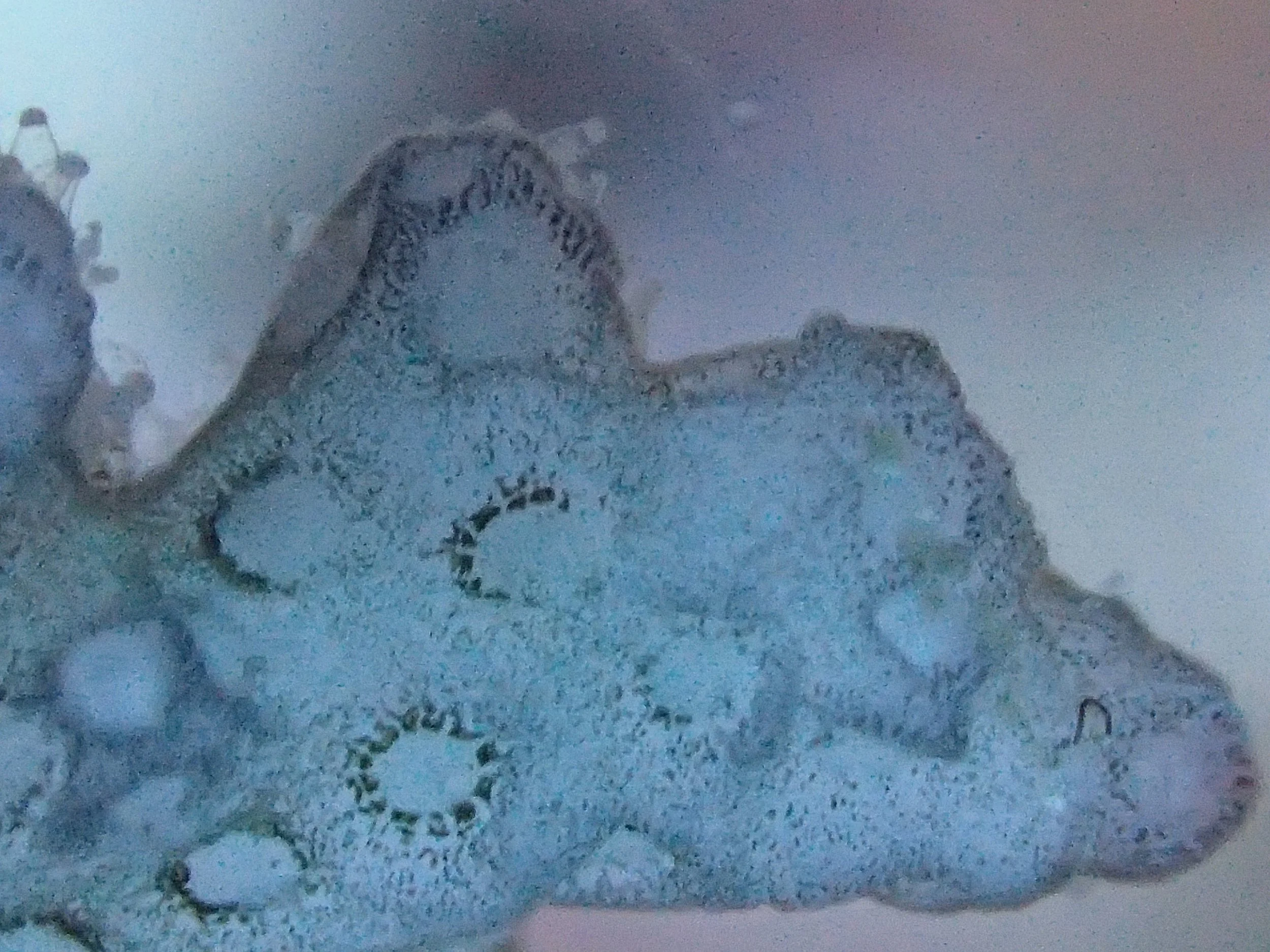 PB140899.jpg