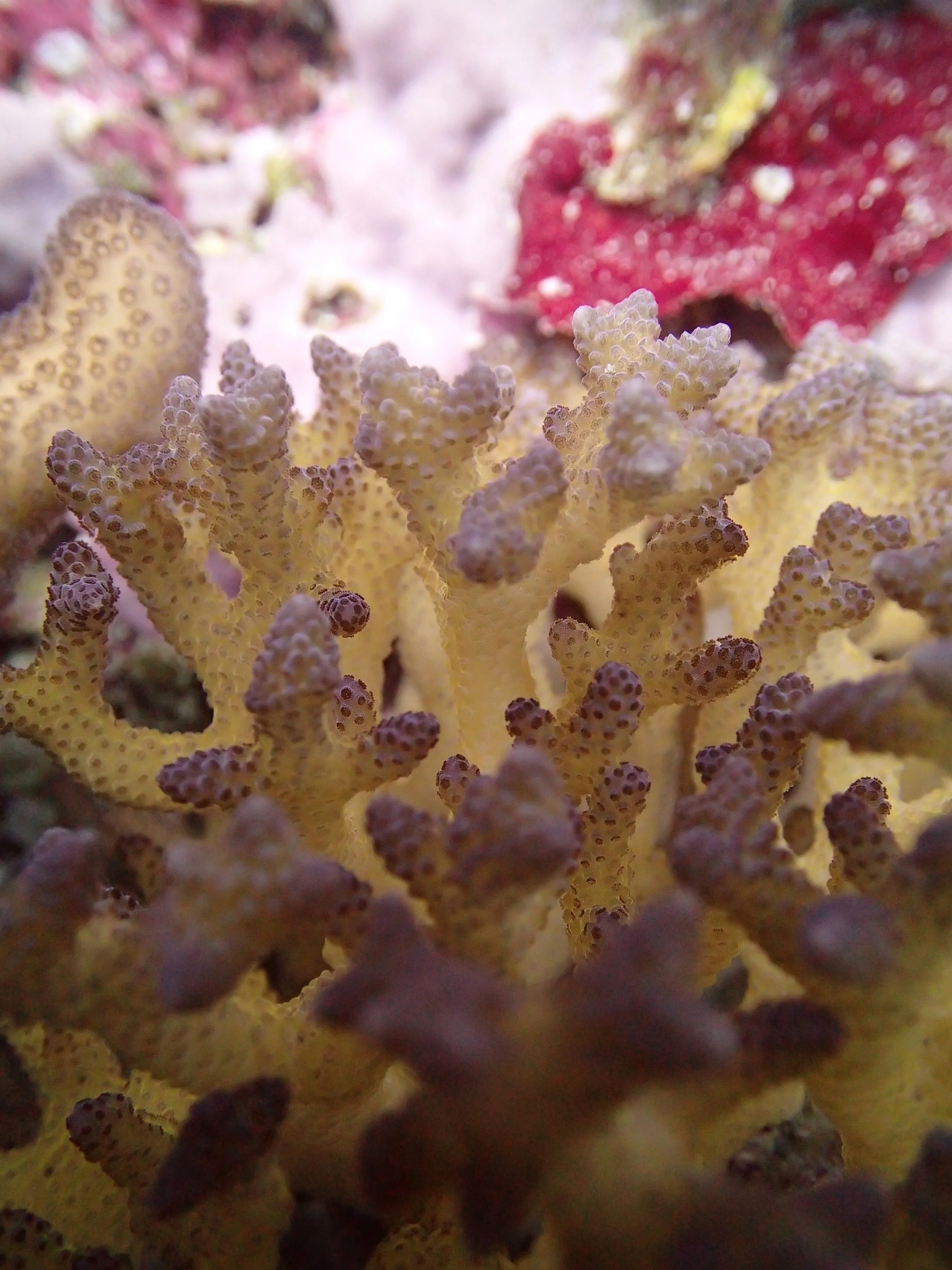 PA300327.jpg