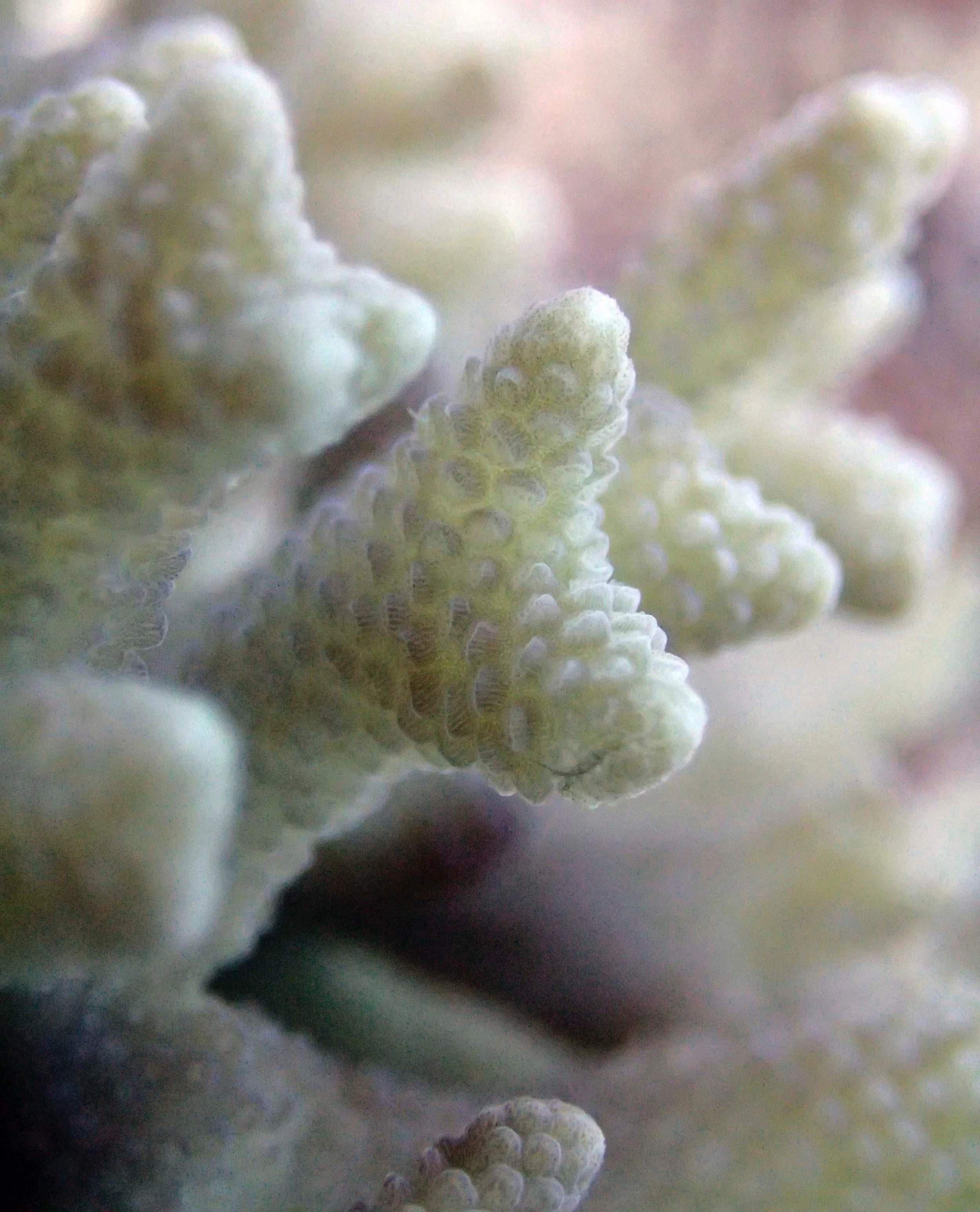 PA300347.jpg