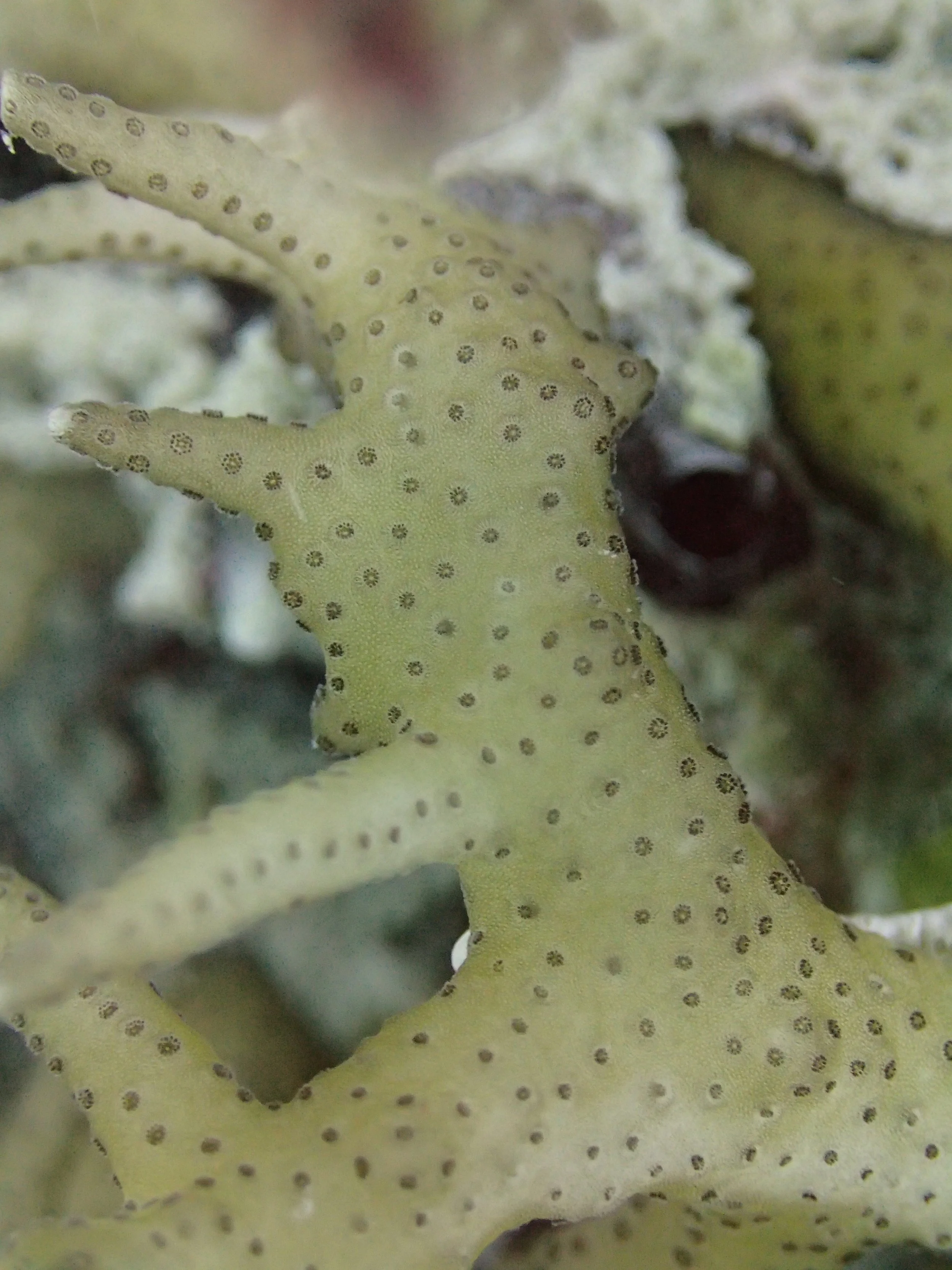 PA310370.jpg