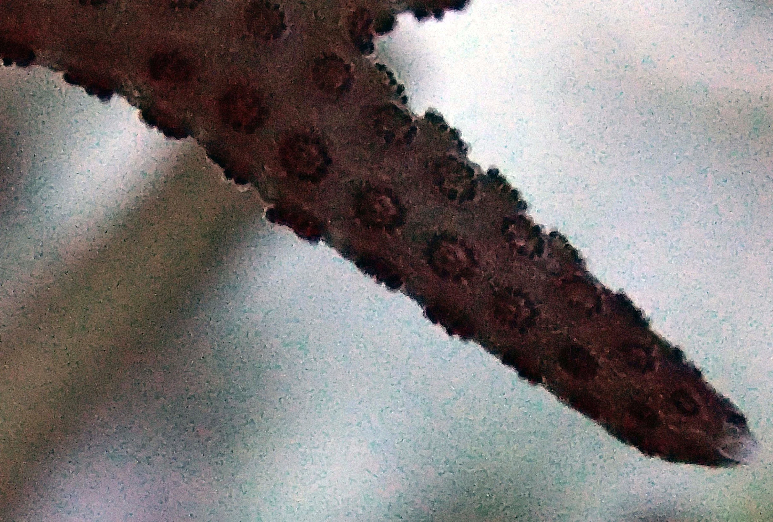 PB010441.jpg