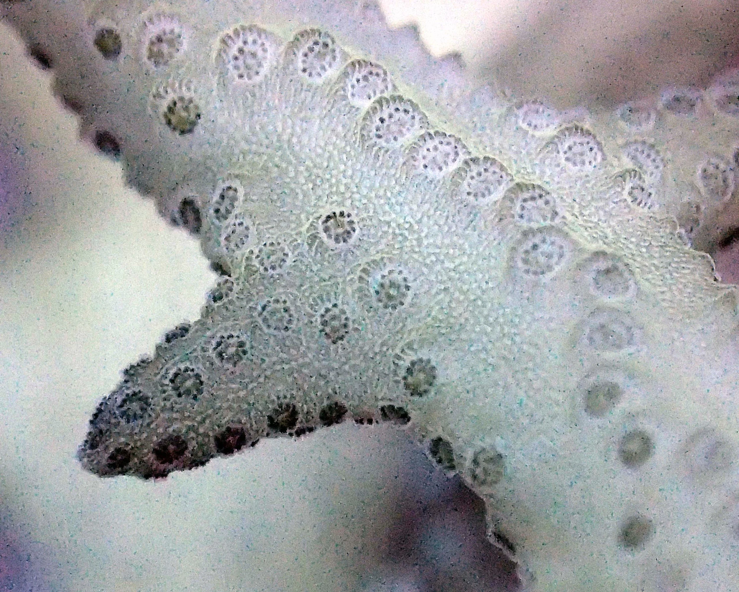PB010445.jpg
