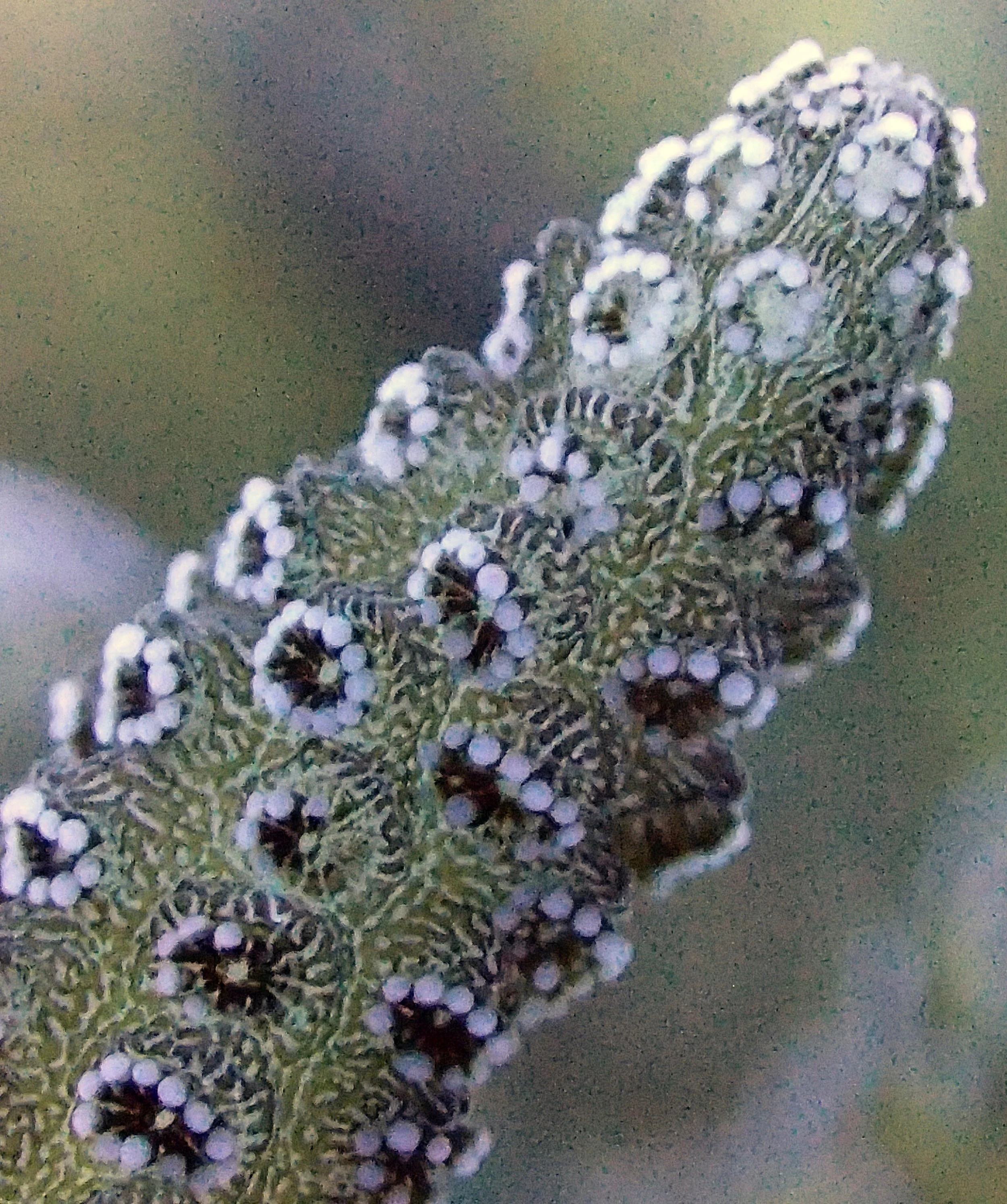 PB020430.jpg